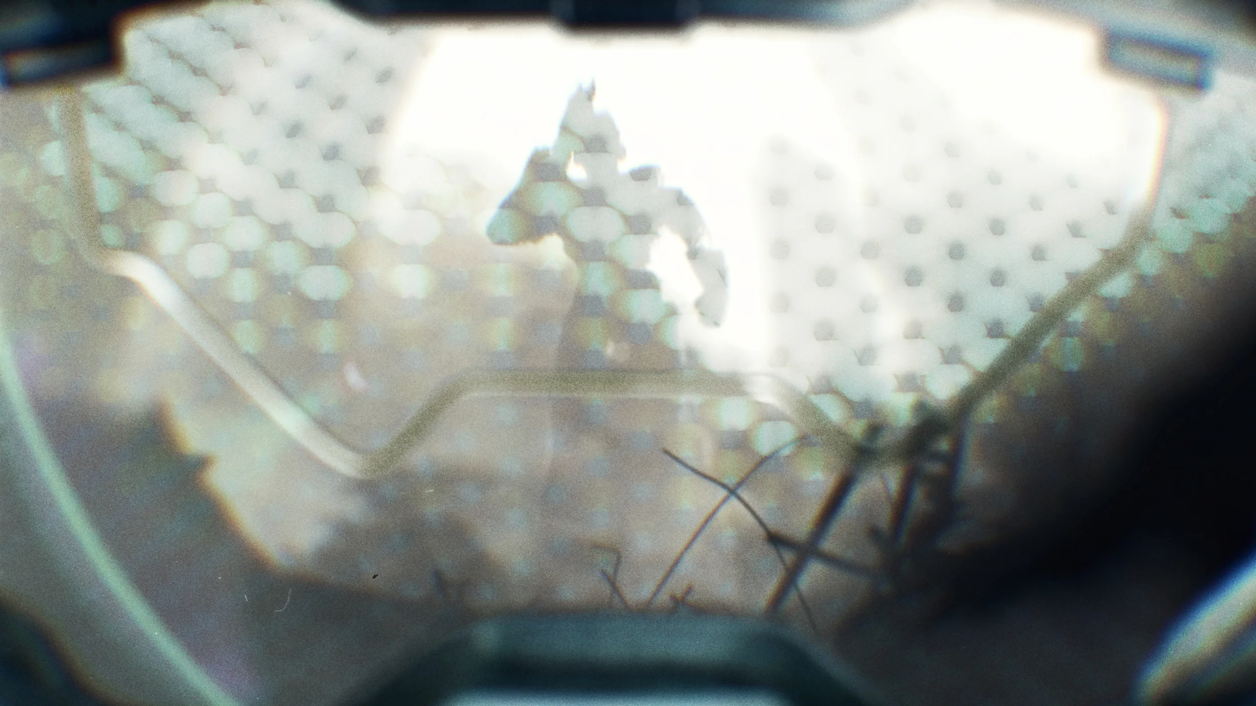 halo_statueReflection_hexa.jpg