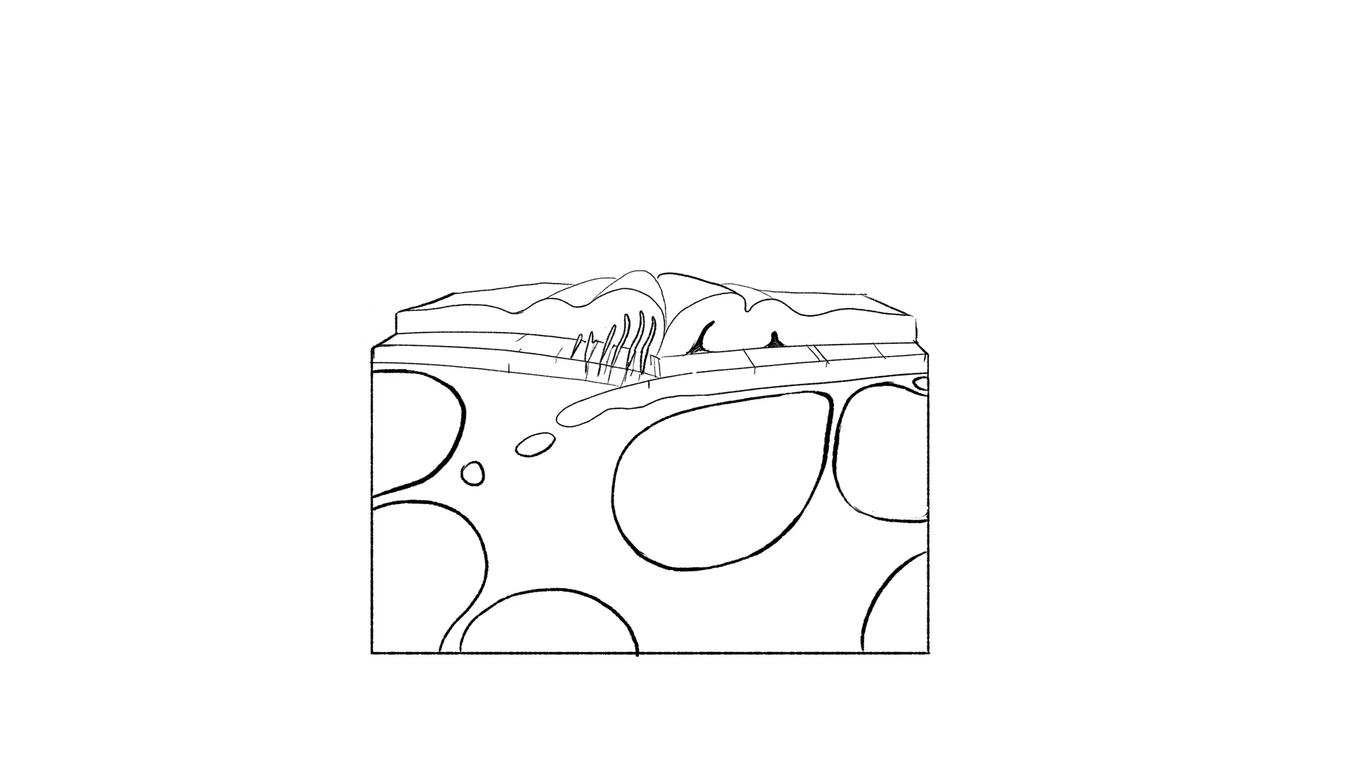 boards__0026_052.jpg
