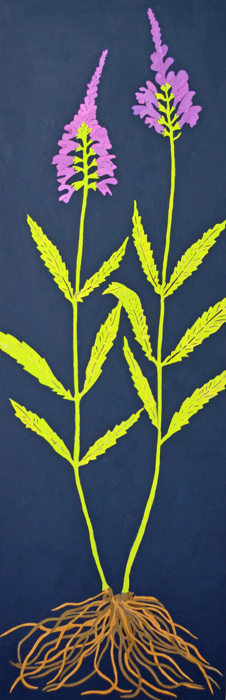 Obediant Plant Amy Rice.jpg
