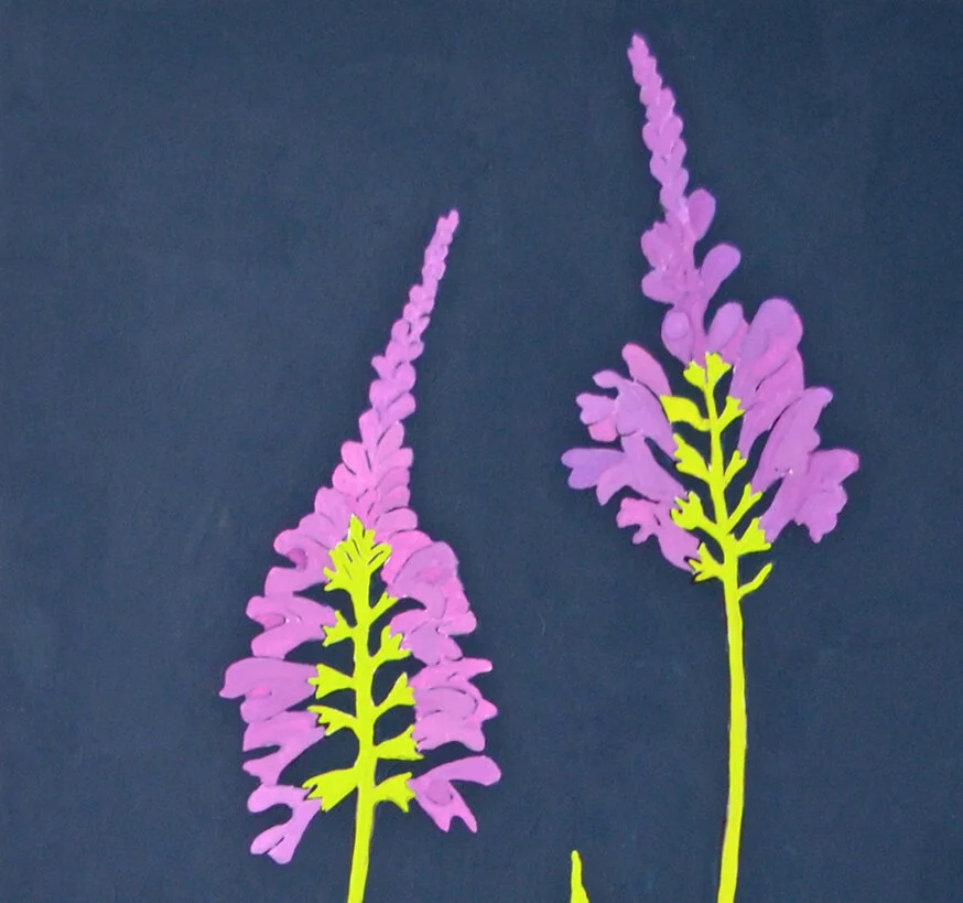 detObediant Plant Amy Rice.jpg