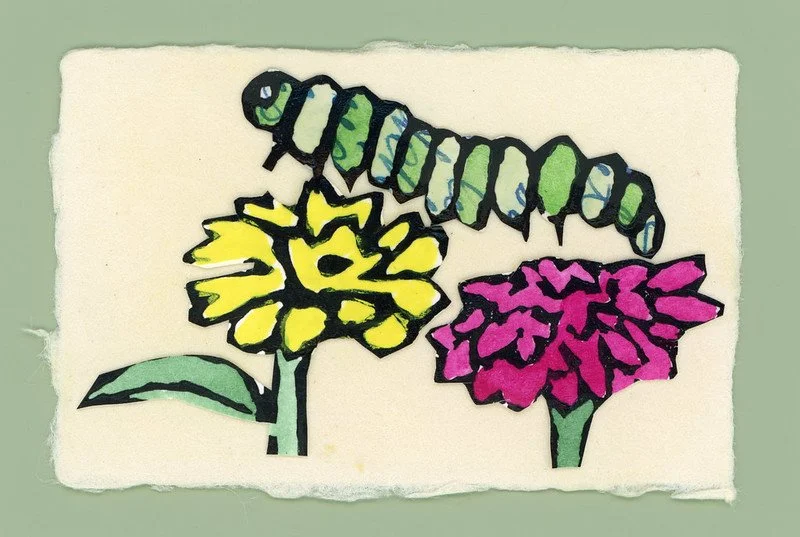 54792525724_886034540f_c (1).jpg