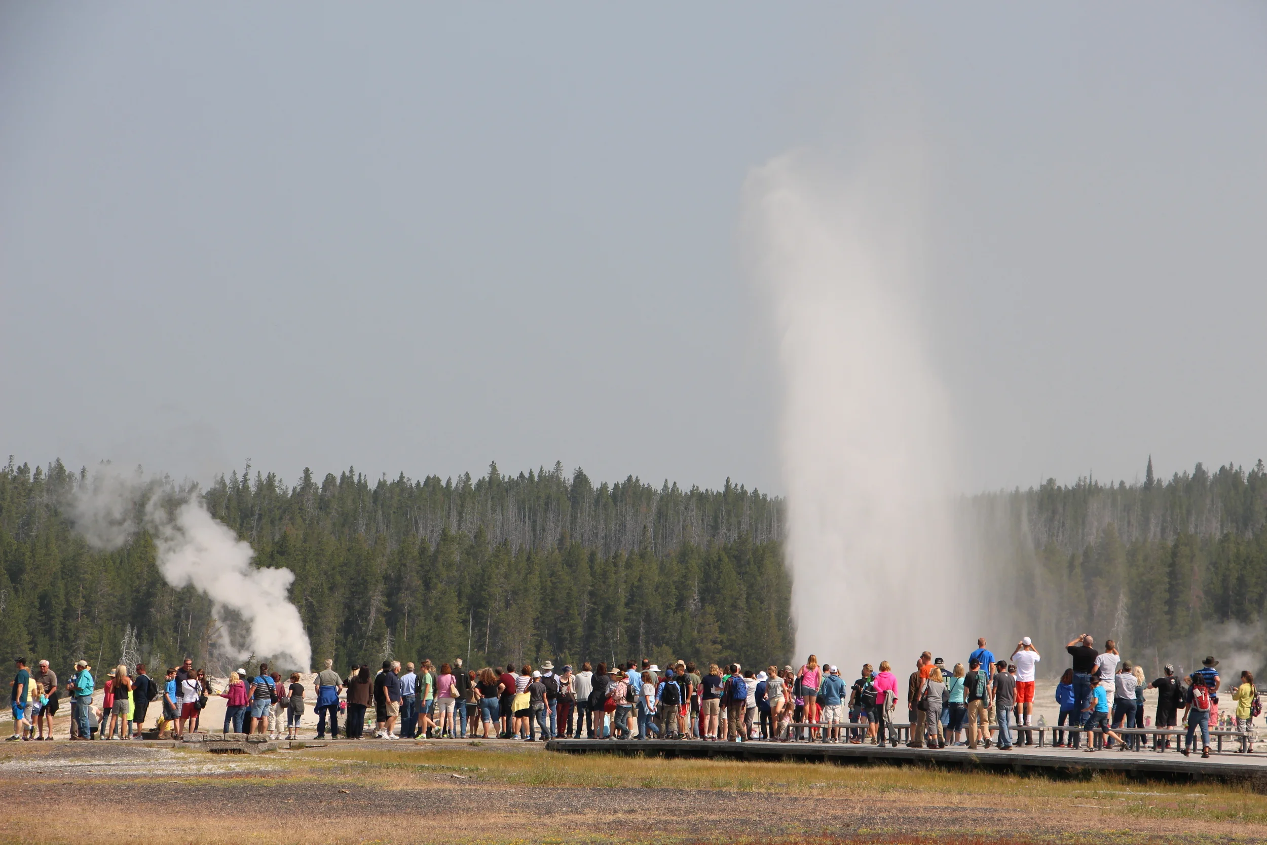 Old Faithful and Beehive Geyser.
