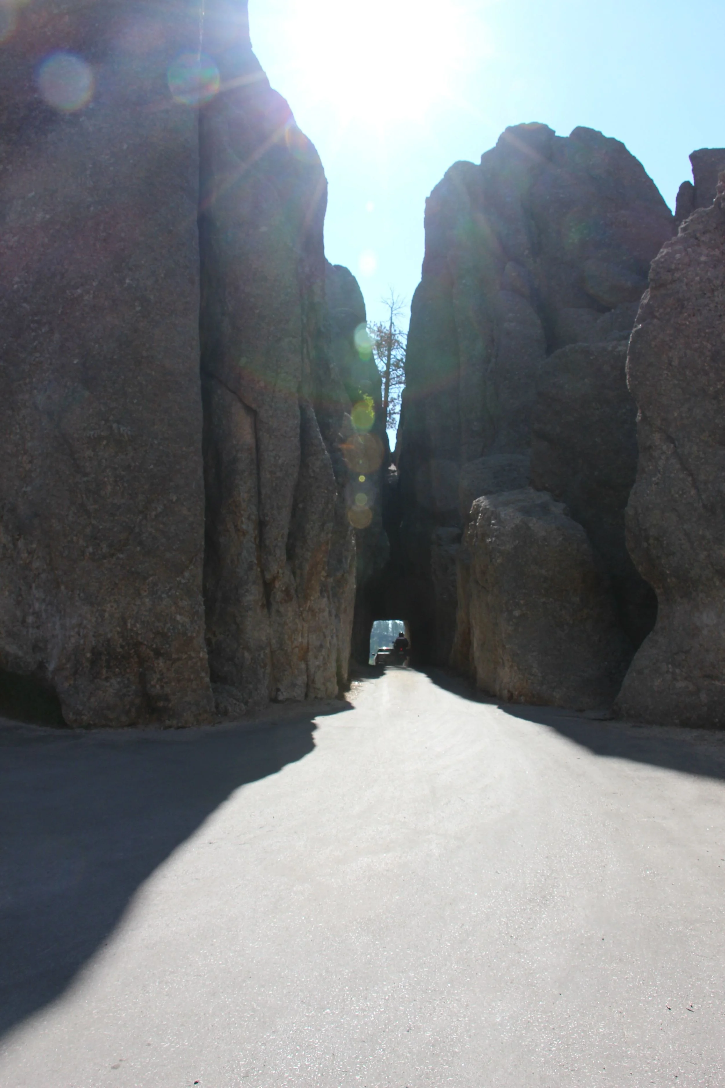 Driving through the Black Hills (Threading the Needle)