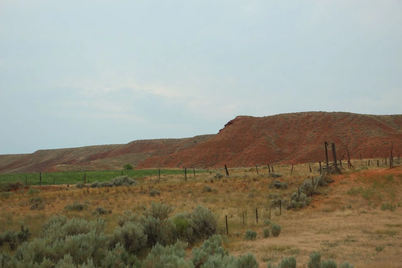 Sagebrush never looked so good.