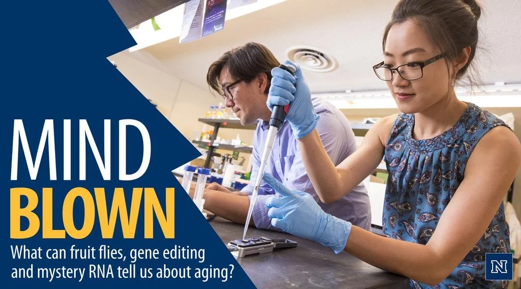 Our work highlighted in an article about neuroscience research at UNR. https://www.unr.edu/stories/mind-blown#partsix