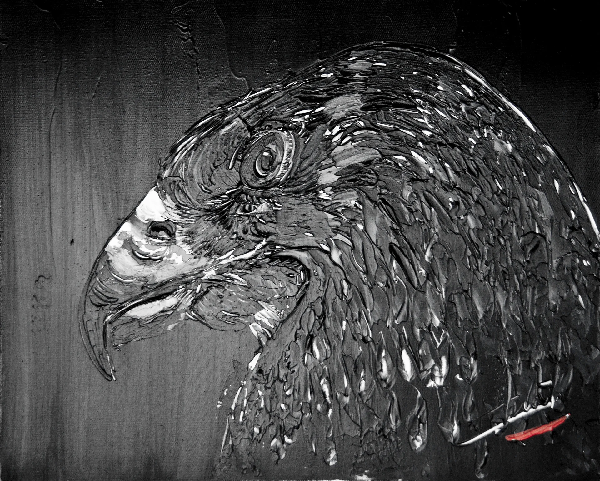 105 - Aigle noir