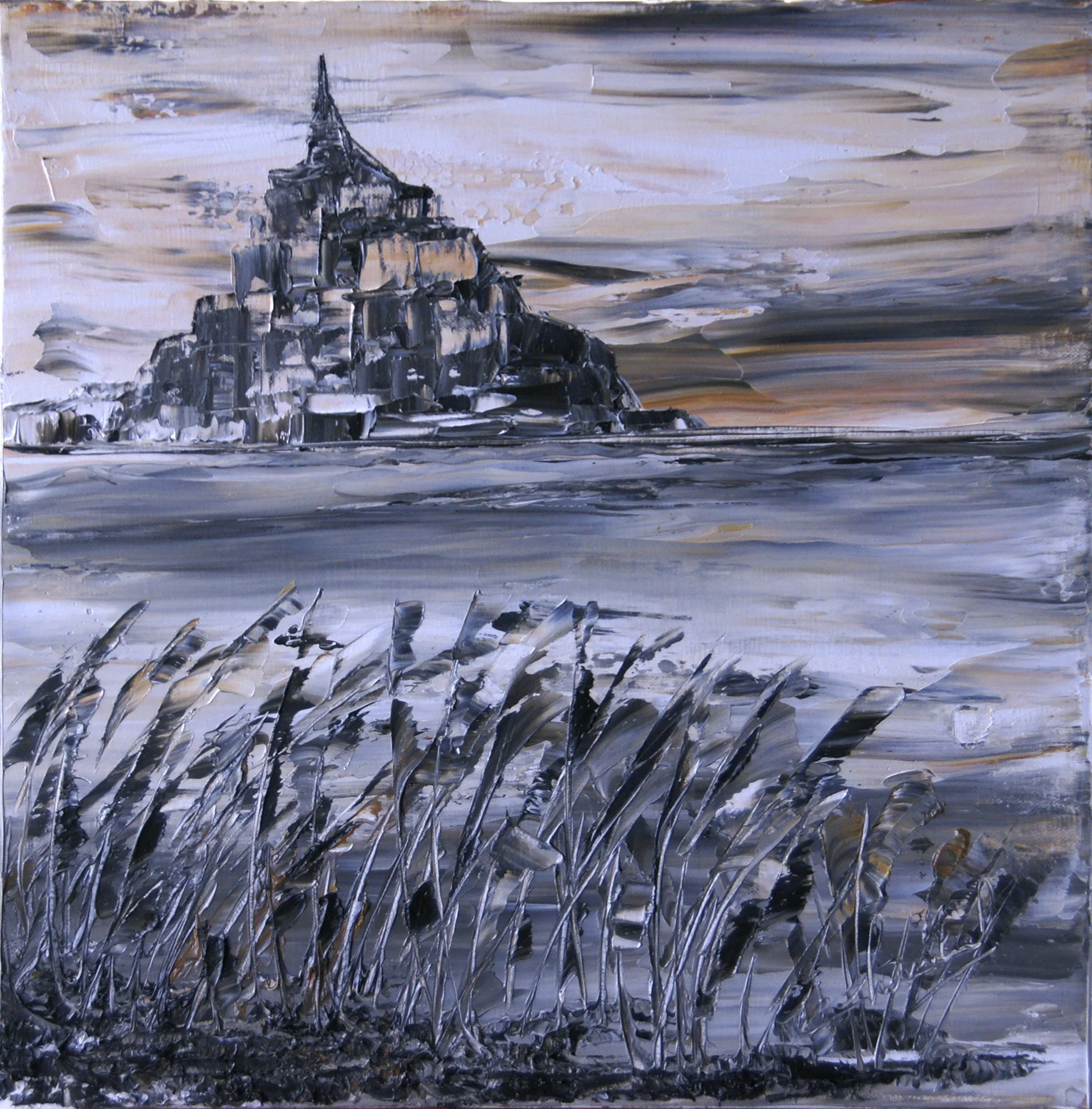 169 - Herbes folles devant Mt St Michel (non disponible)