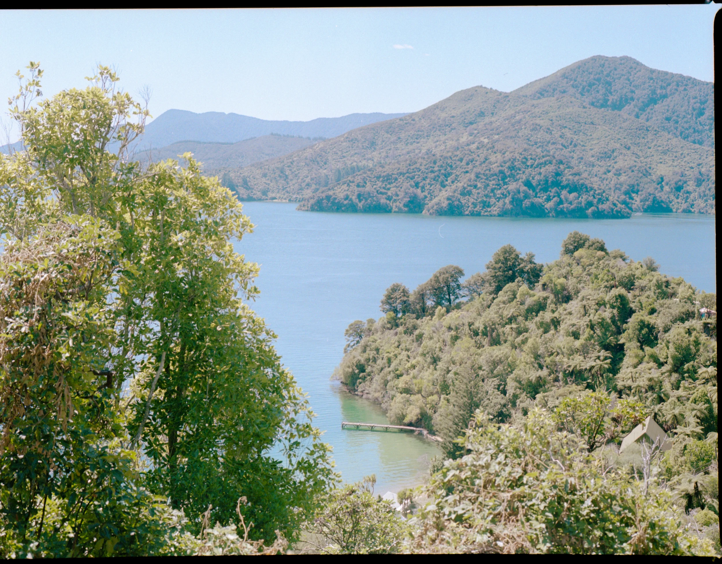 img217 copy.jpg