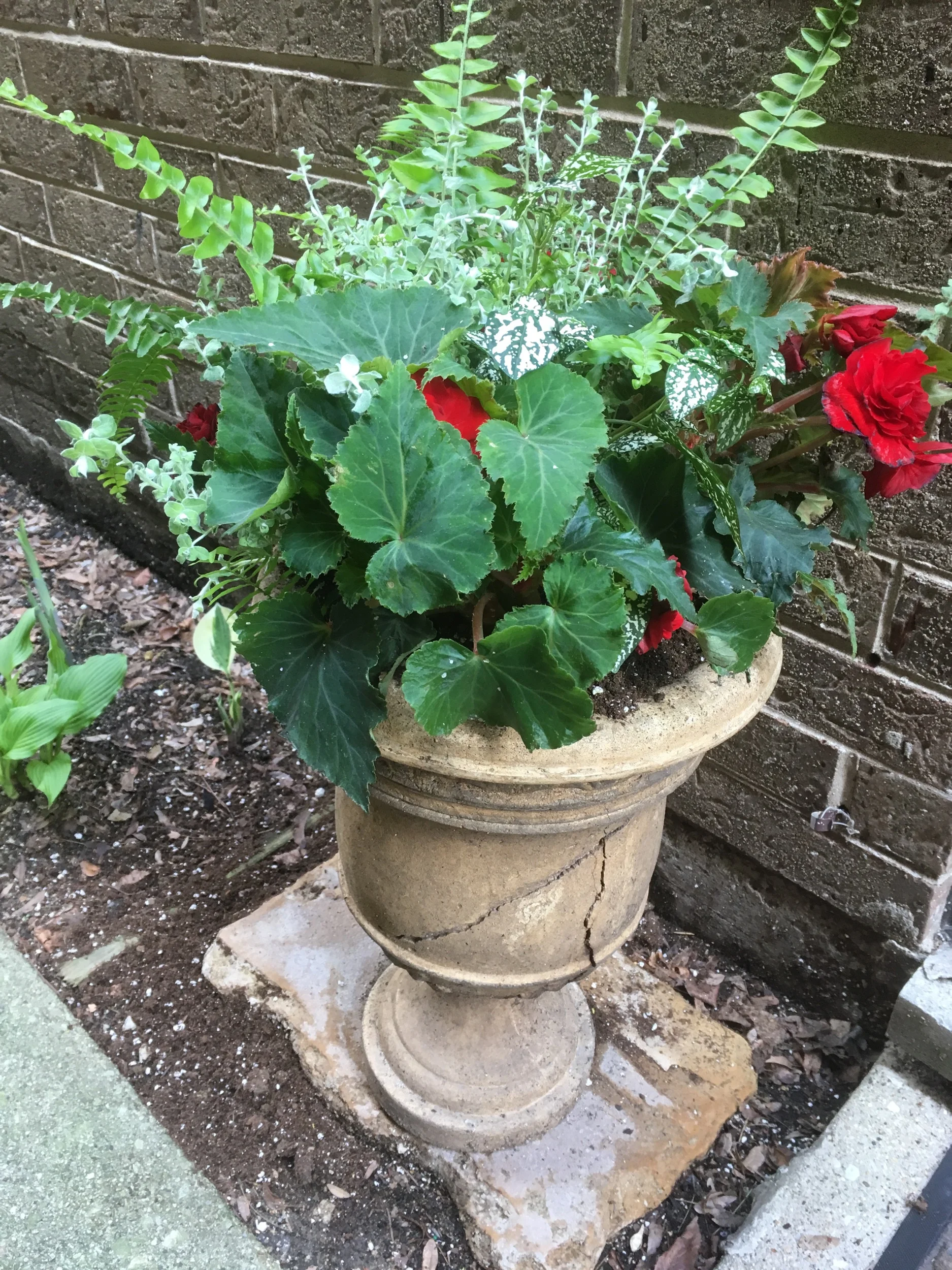 IMG_5097.jpeg