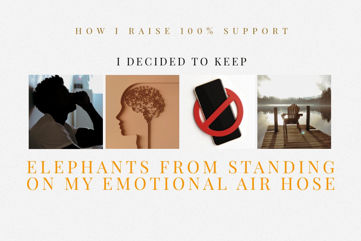I Decided to Keep Elephants from Standing on my Emotional Air Hose