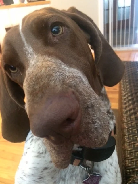 What's up? We can be friends!