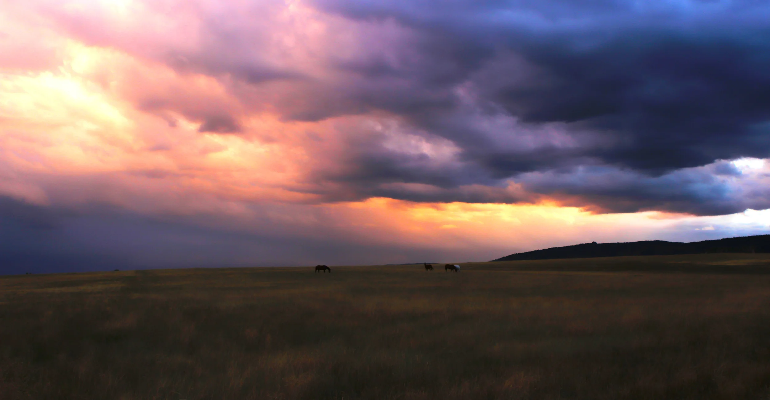Untitled_HDR5.jpg