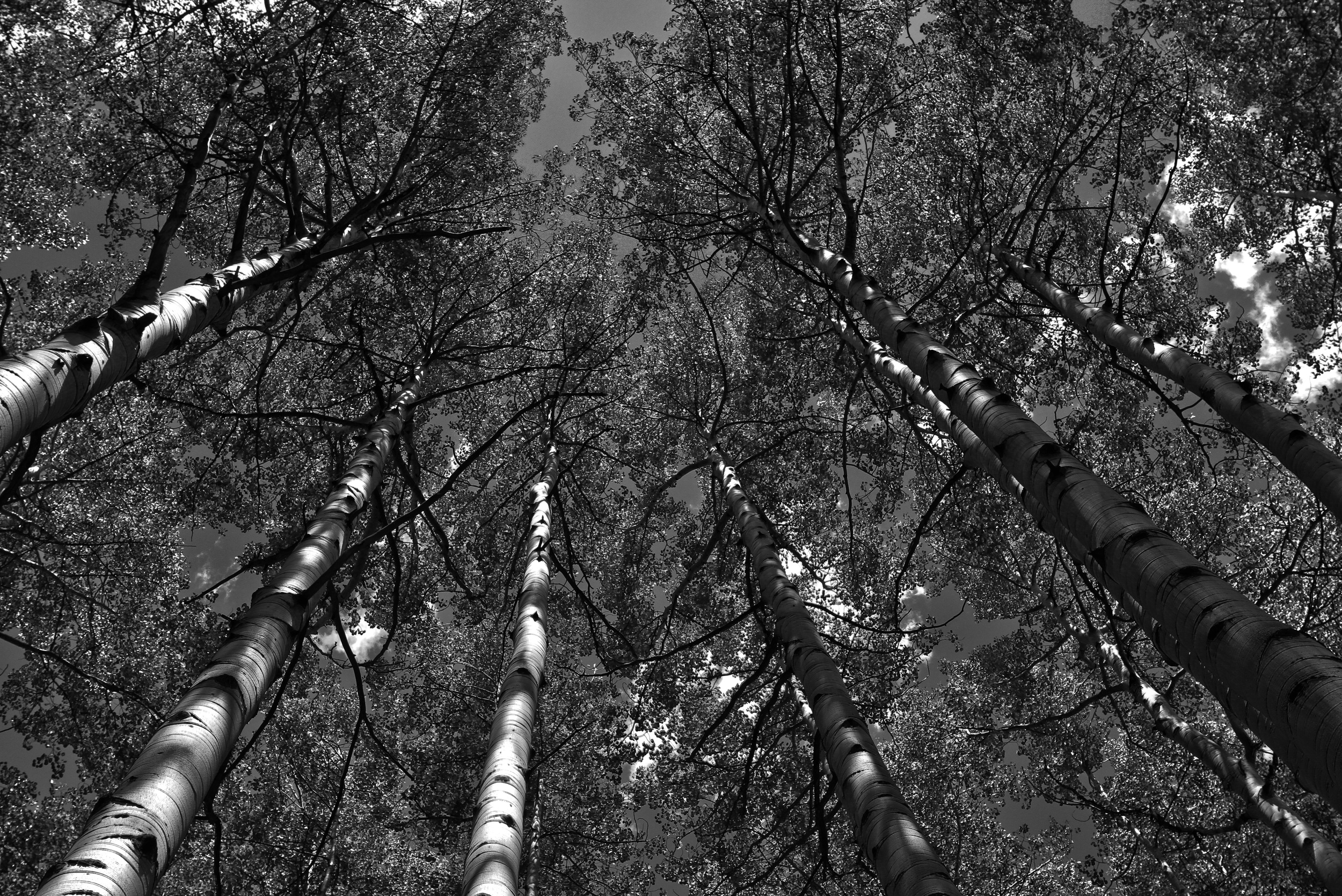 Untitled_HDR4.jpg