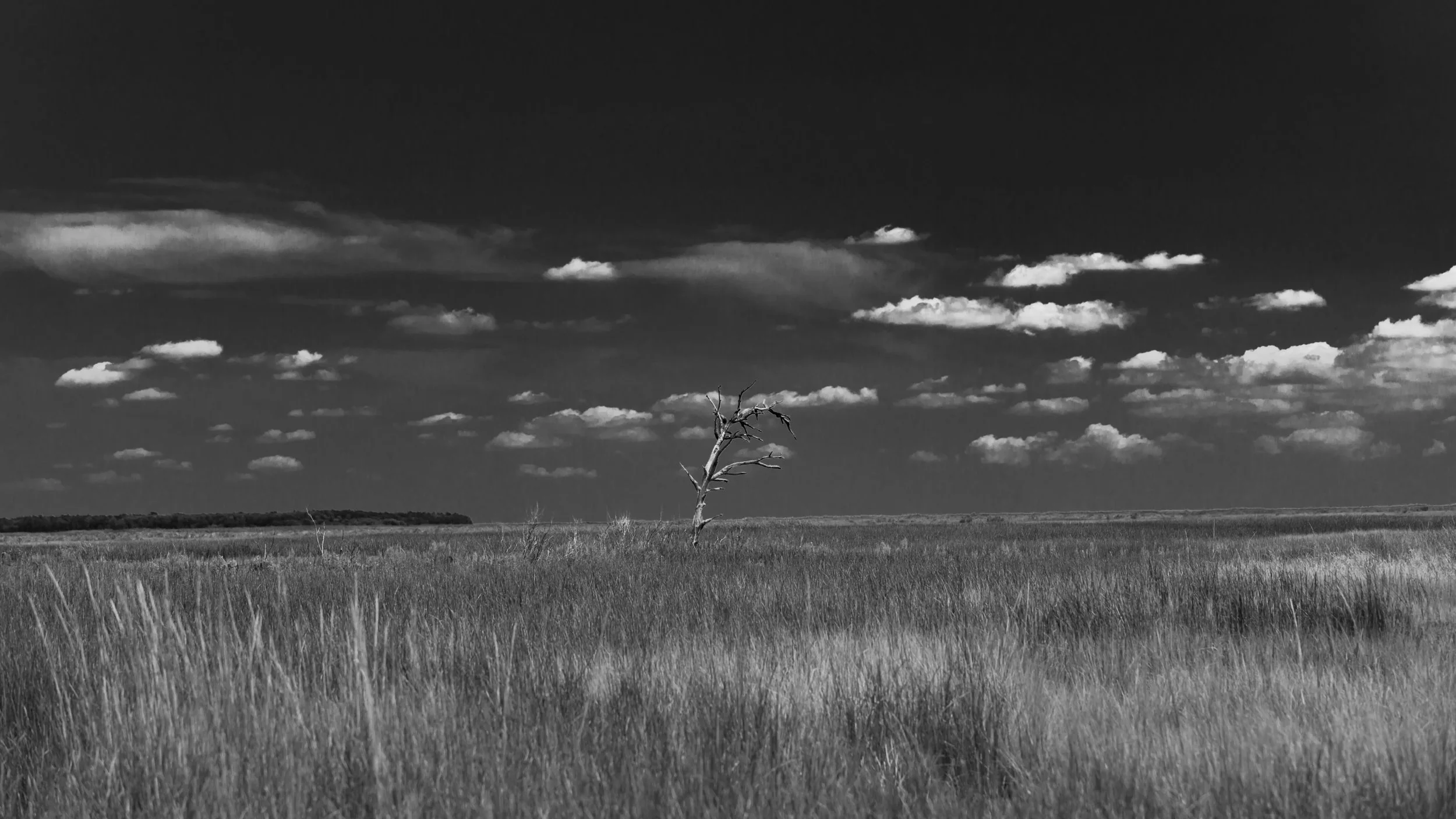 840A6171_web.jpg