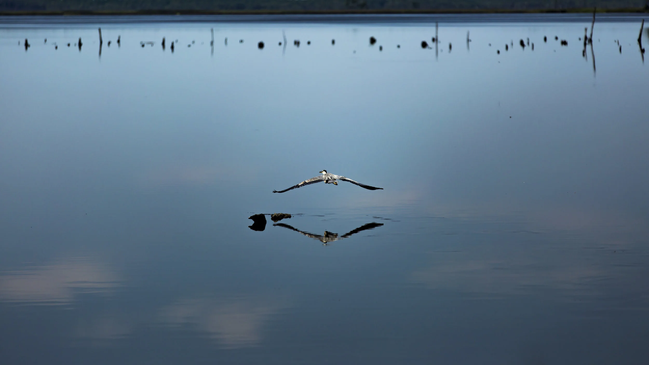 840A6039_web.jpg