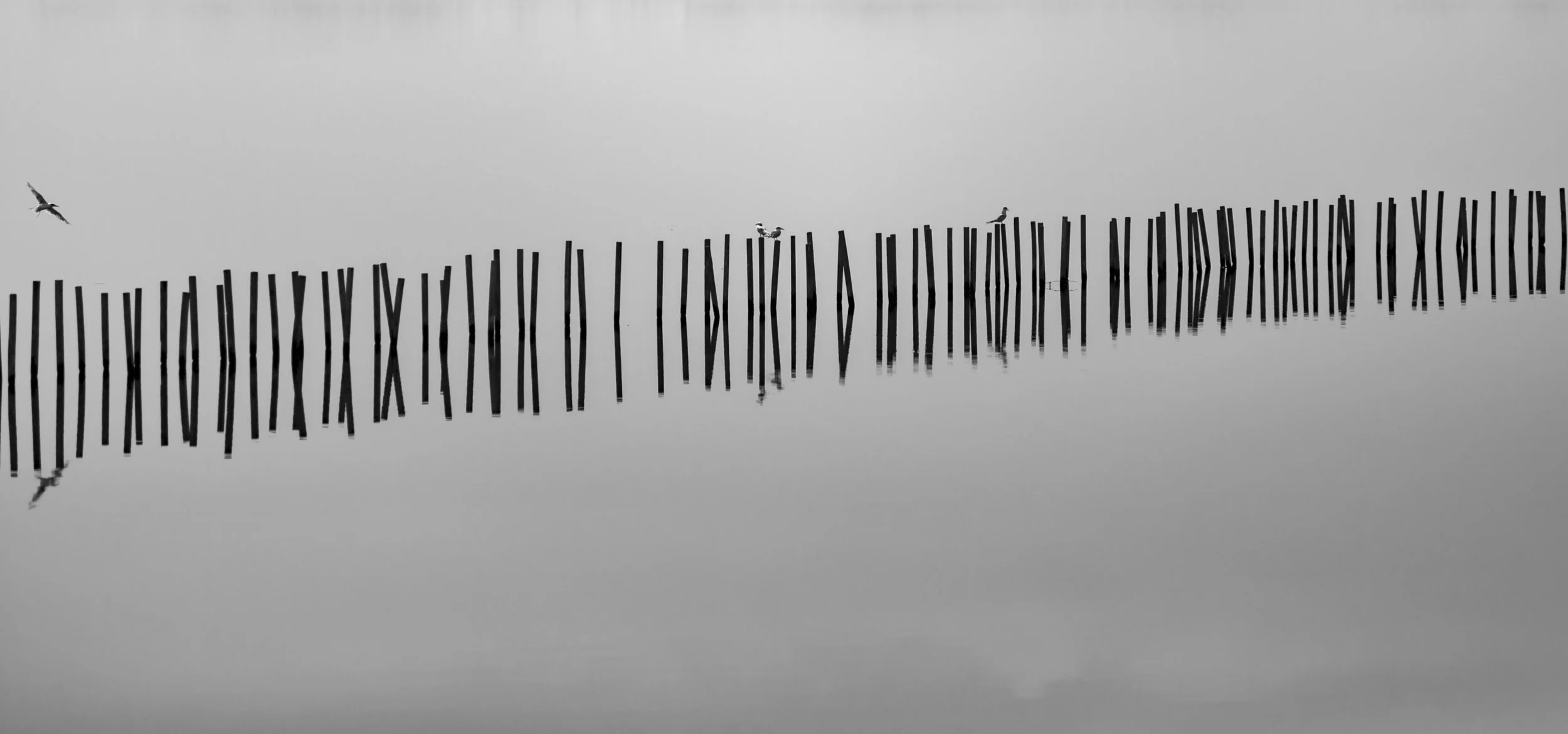 840A5987_web.jpg