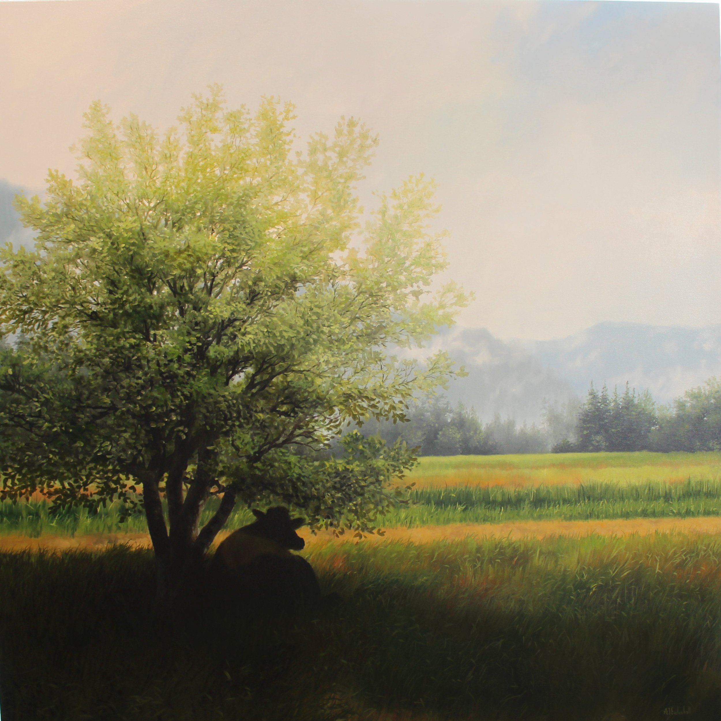 "Refuge" 36 x 36 oil on canvas