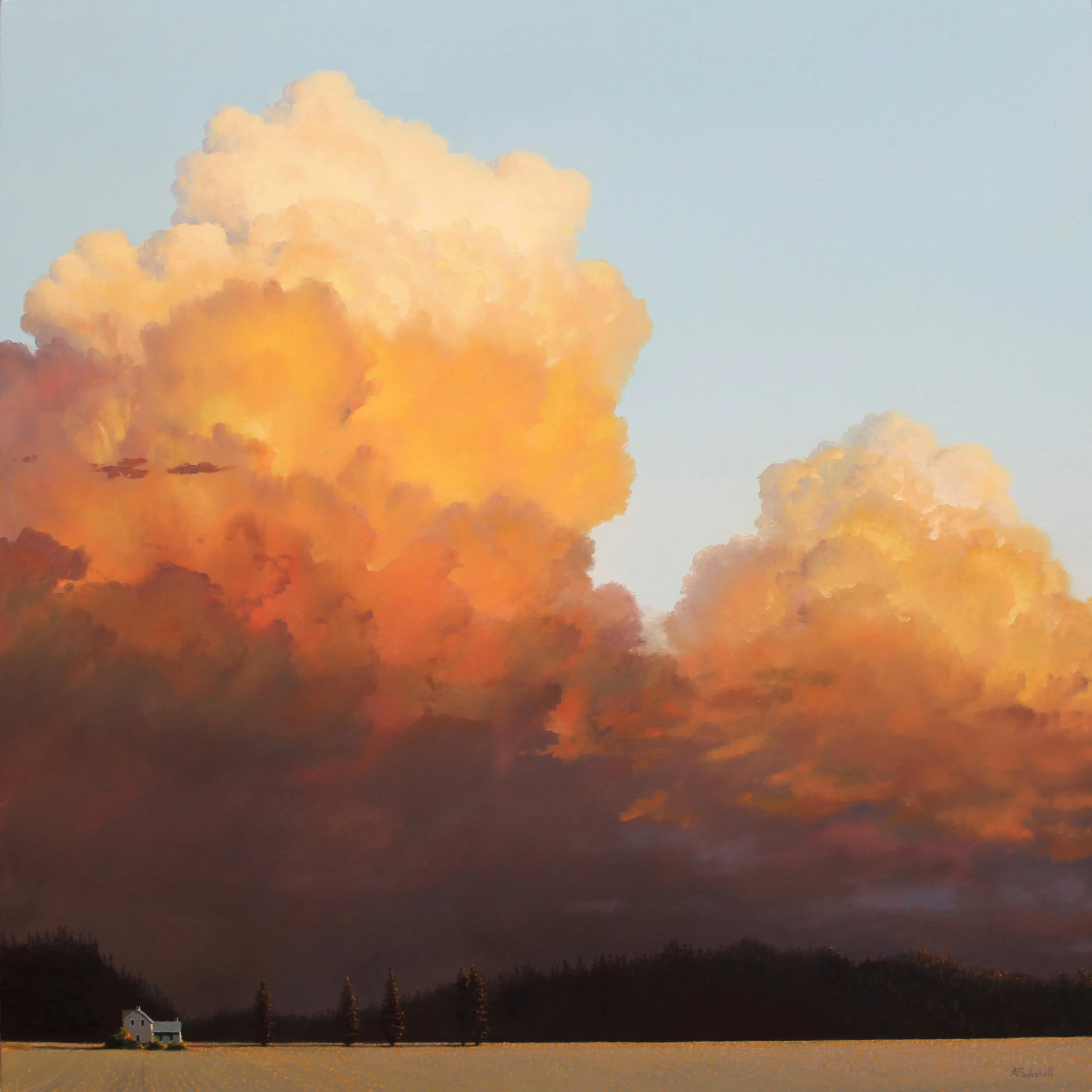 "Resilience" 30 x 30 oil on canvas