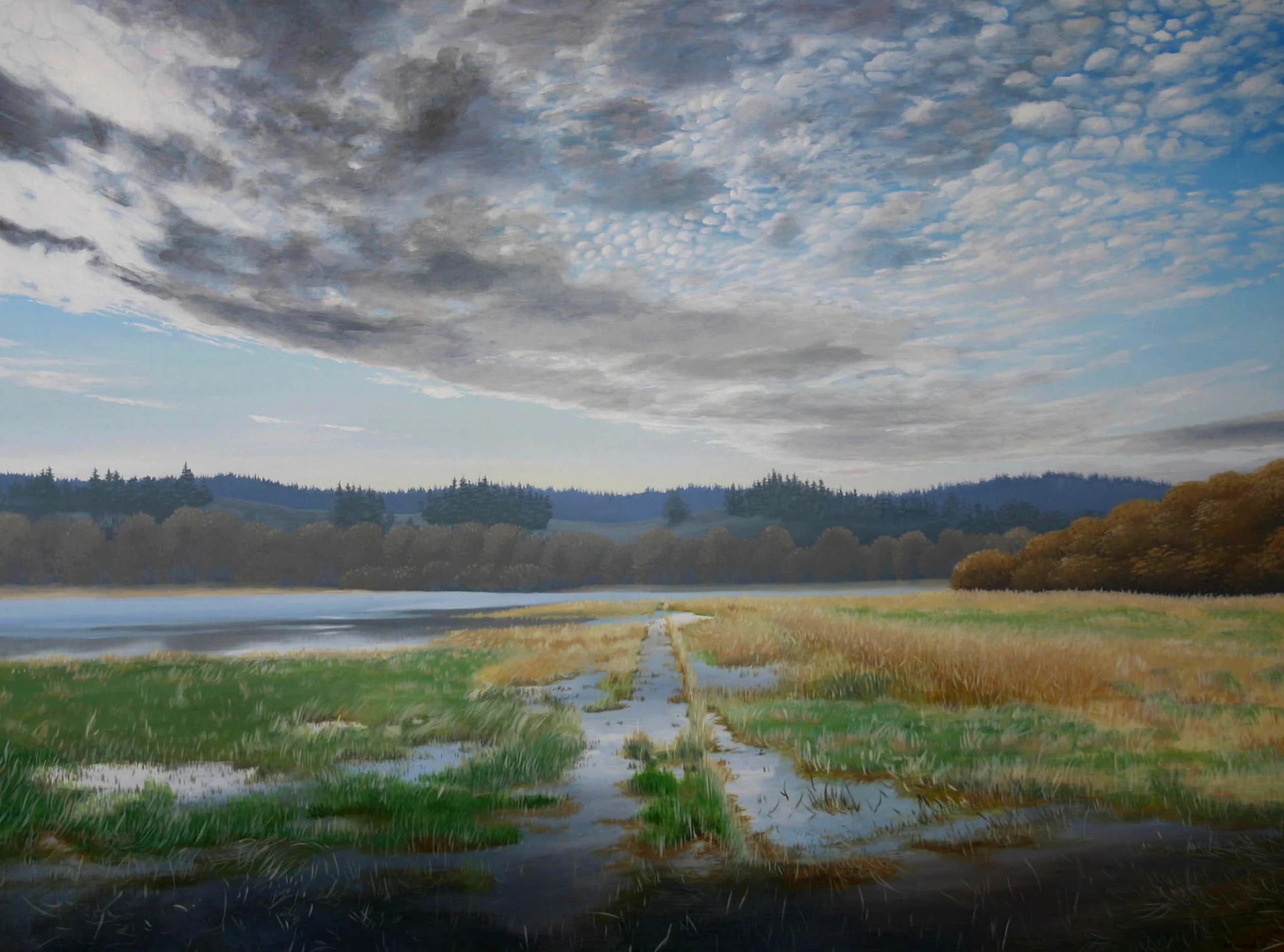 "Flooded Field" 36x48 acrylic