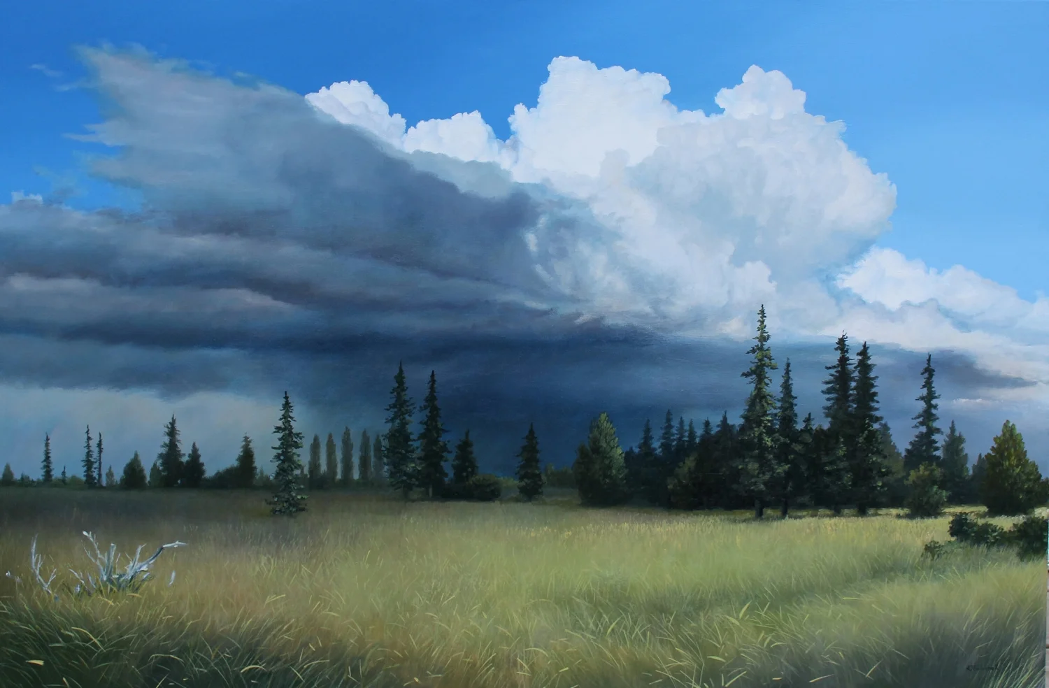 The Late Spring 30x48 oil _Eccleshall_5850.jpg