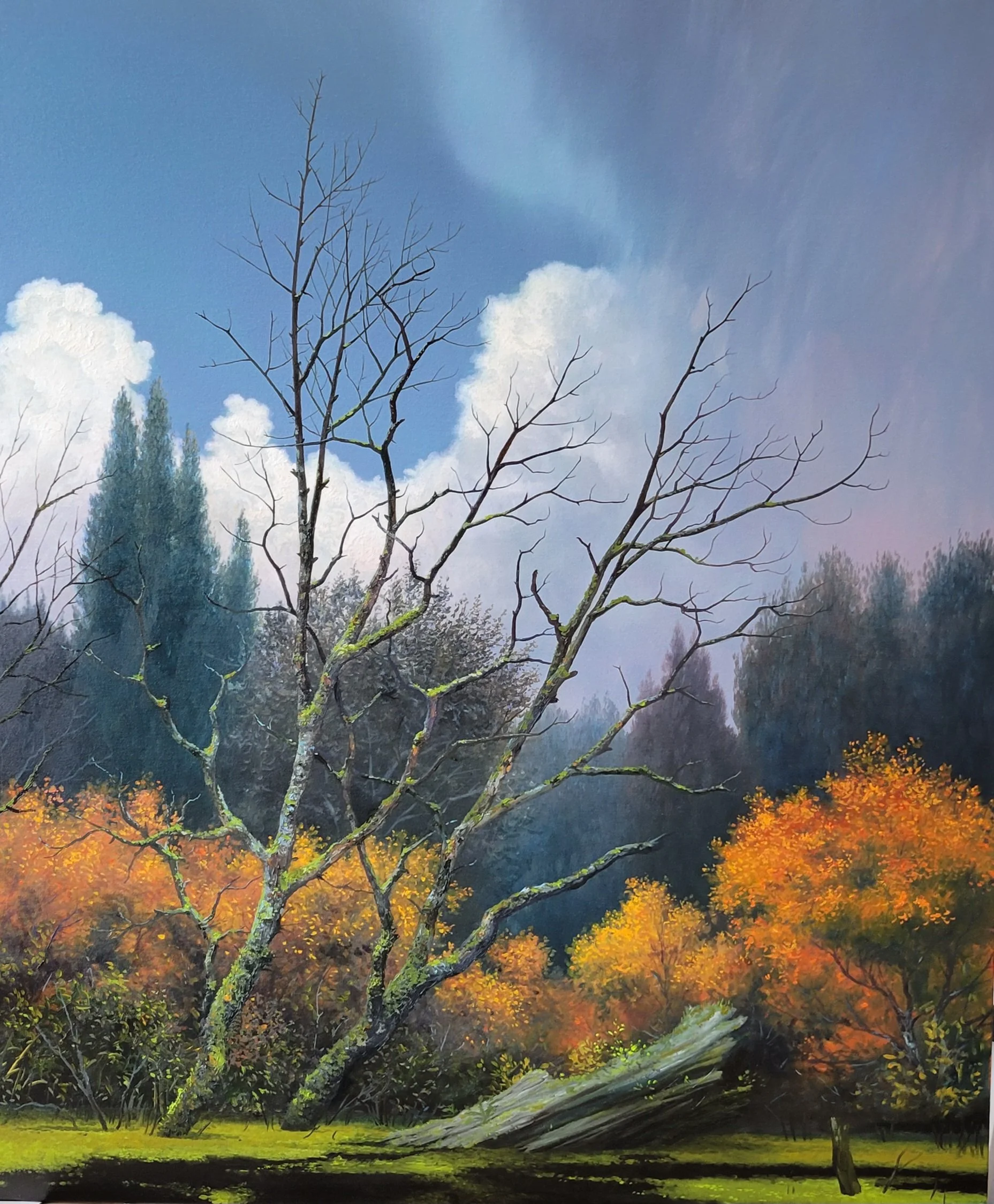 "For Everything a Season" 36 x 30 oil on canvas