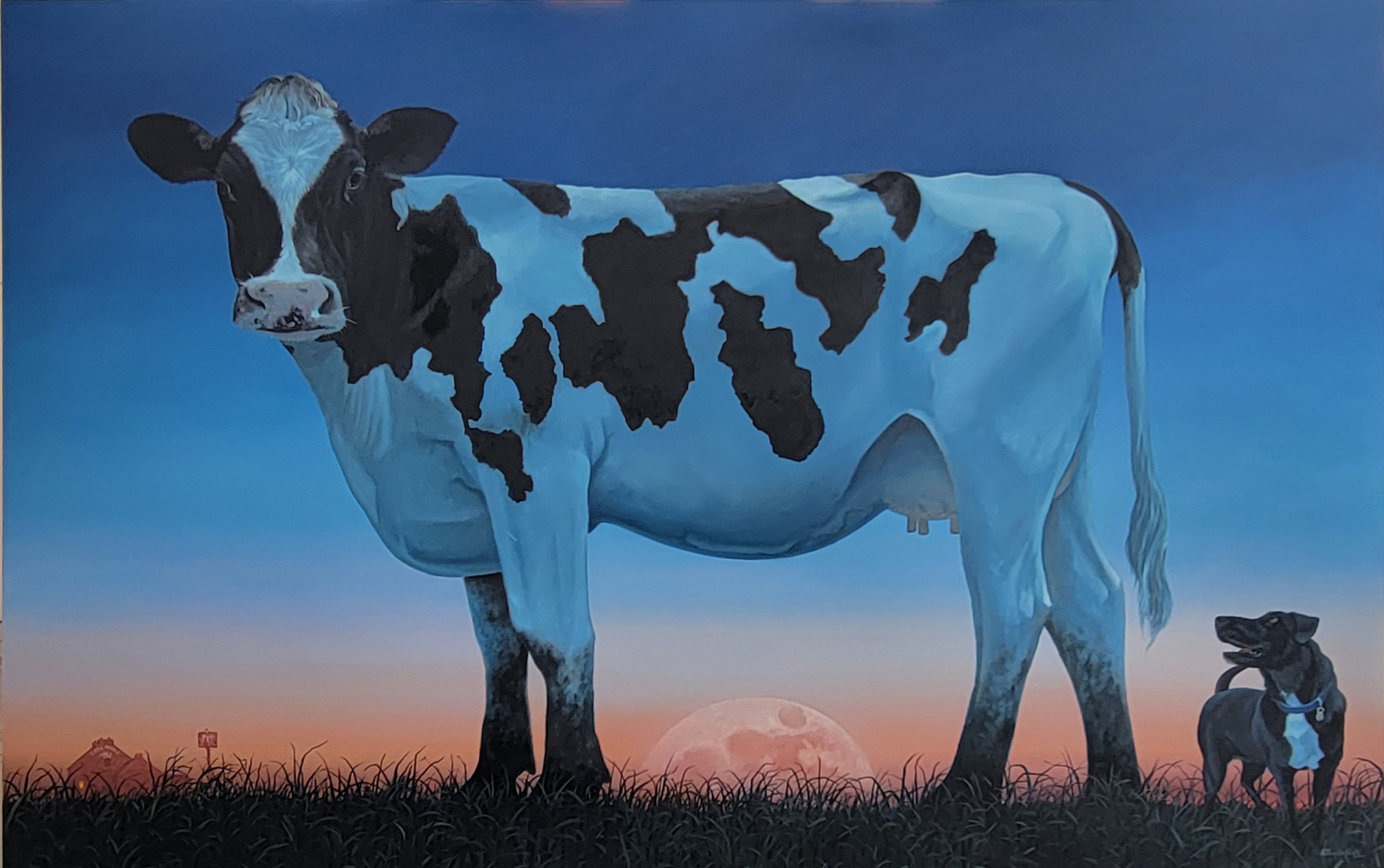 I am Cow_48x72 oil_11900_Eccleshall.jpg