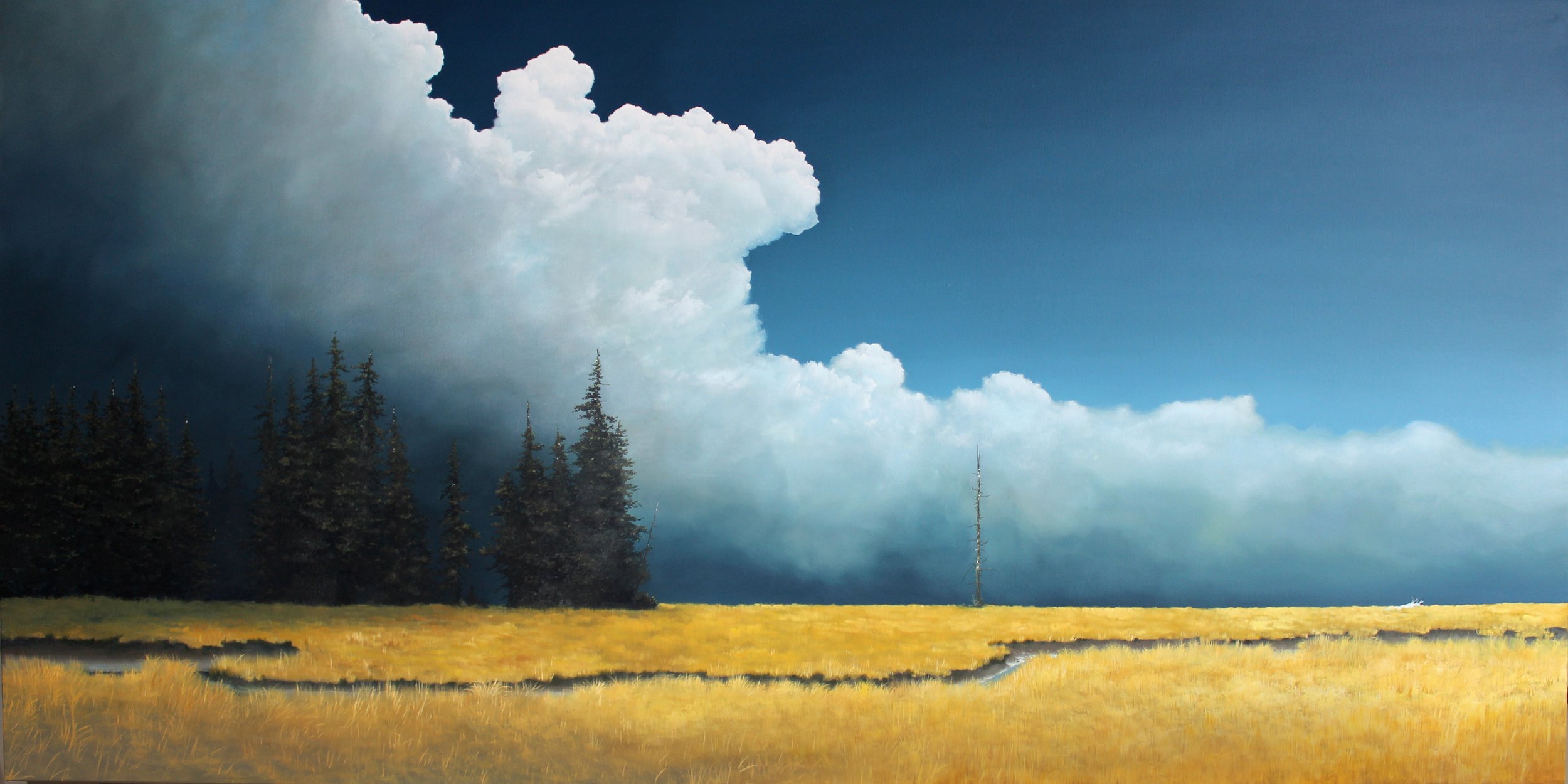 "Balance (Nisqually)" 36x72 oil  $9,750