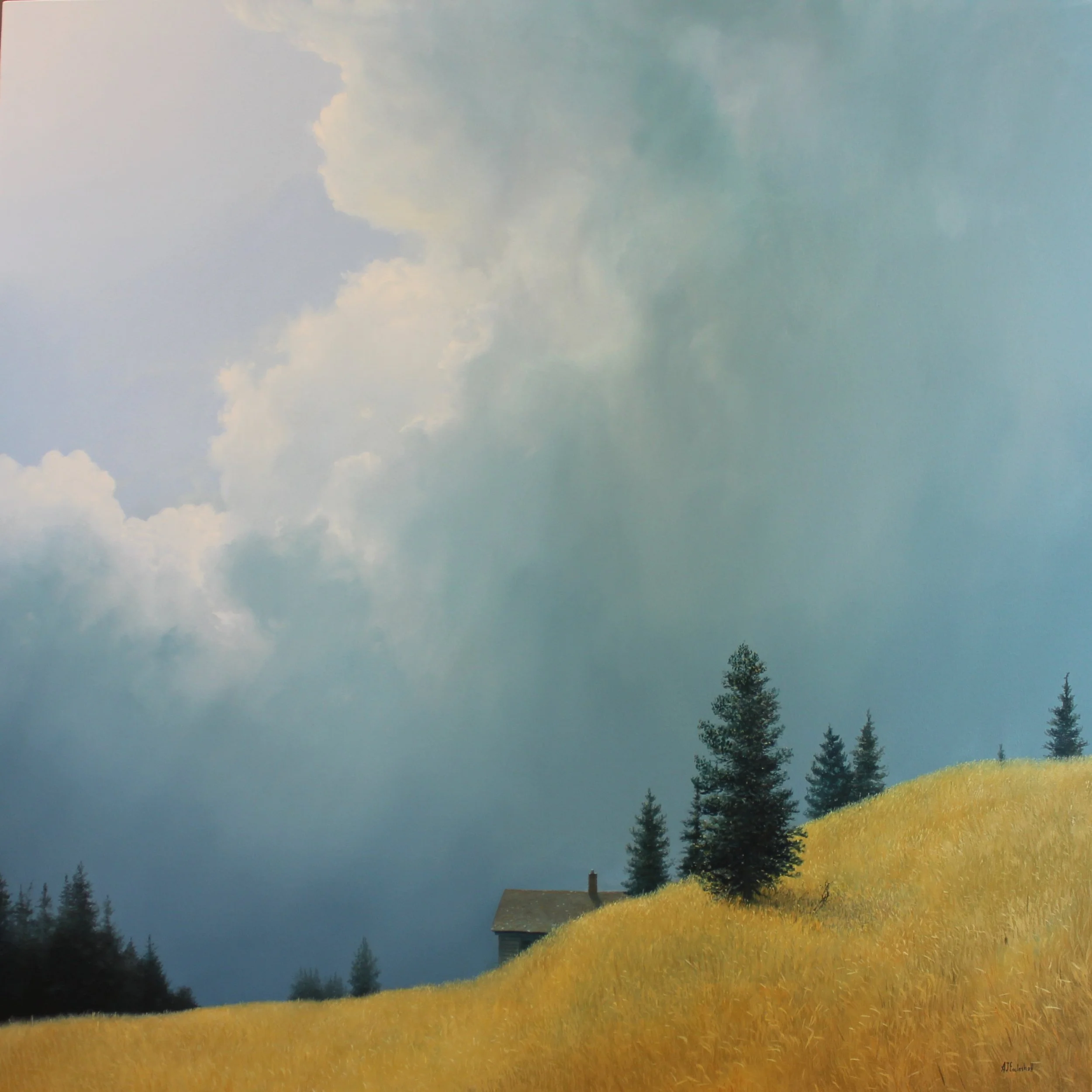 AVAILABLE THROUGH KOSTUIK GALLERY "Hideaway" 36 x 36 oil on canvas