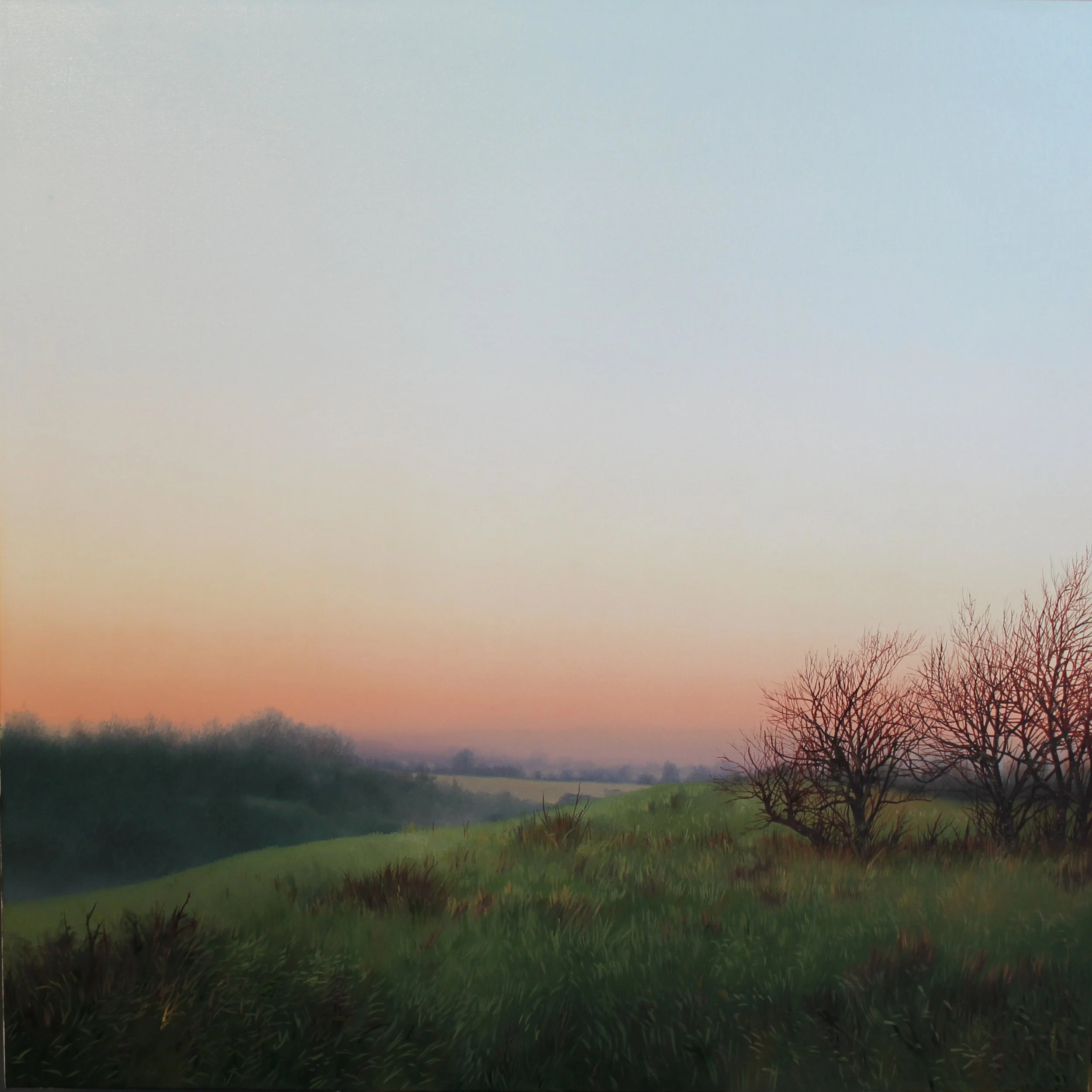 "Yonder" 30 x 30 oil on canvas