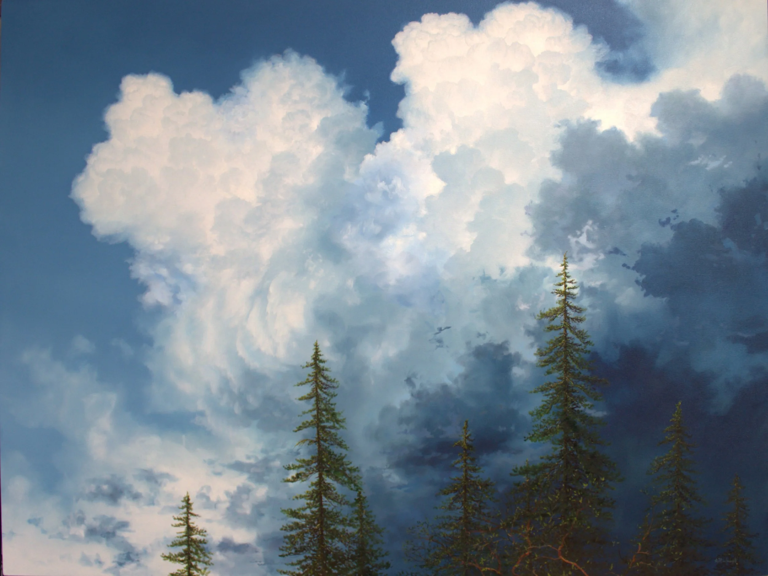 "Uplift" 36 x 48 oil on canvas