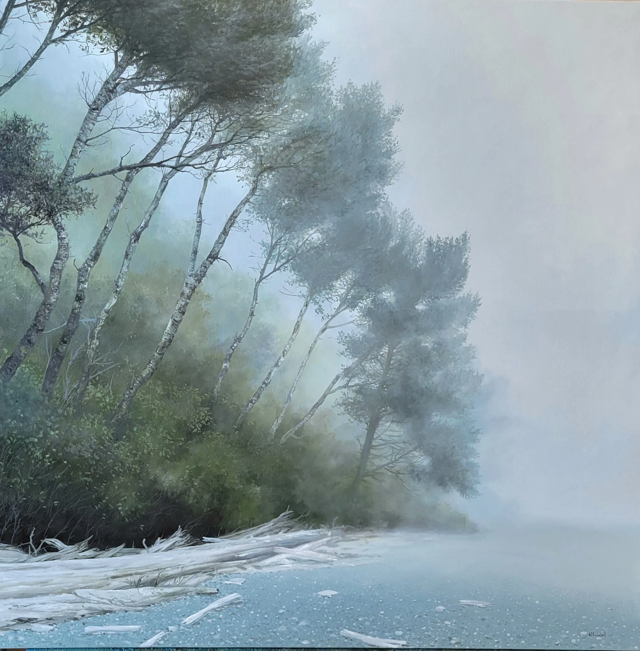 "Beach Stand" 36 x 36 oil on canvas