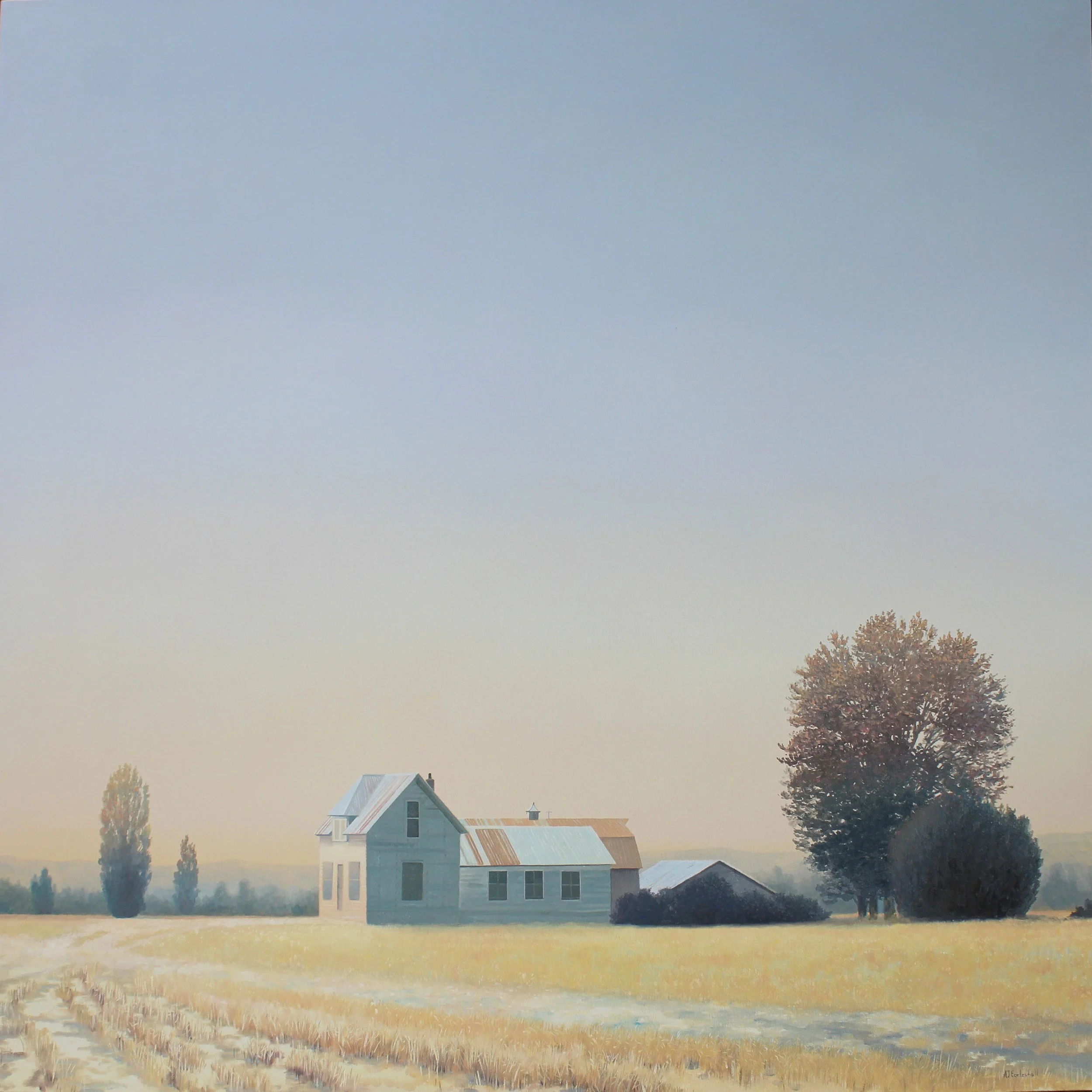 "The Dry Season" 36 x 36 oil on canvas