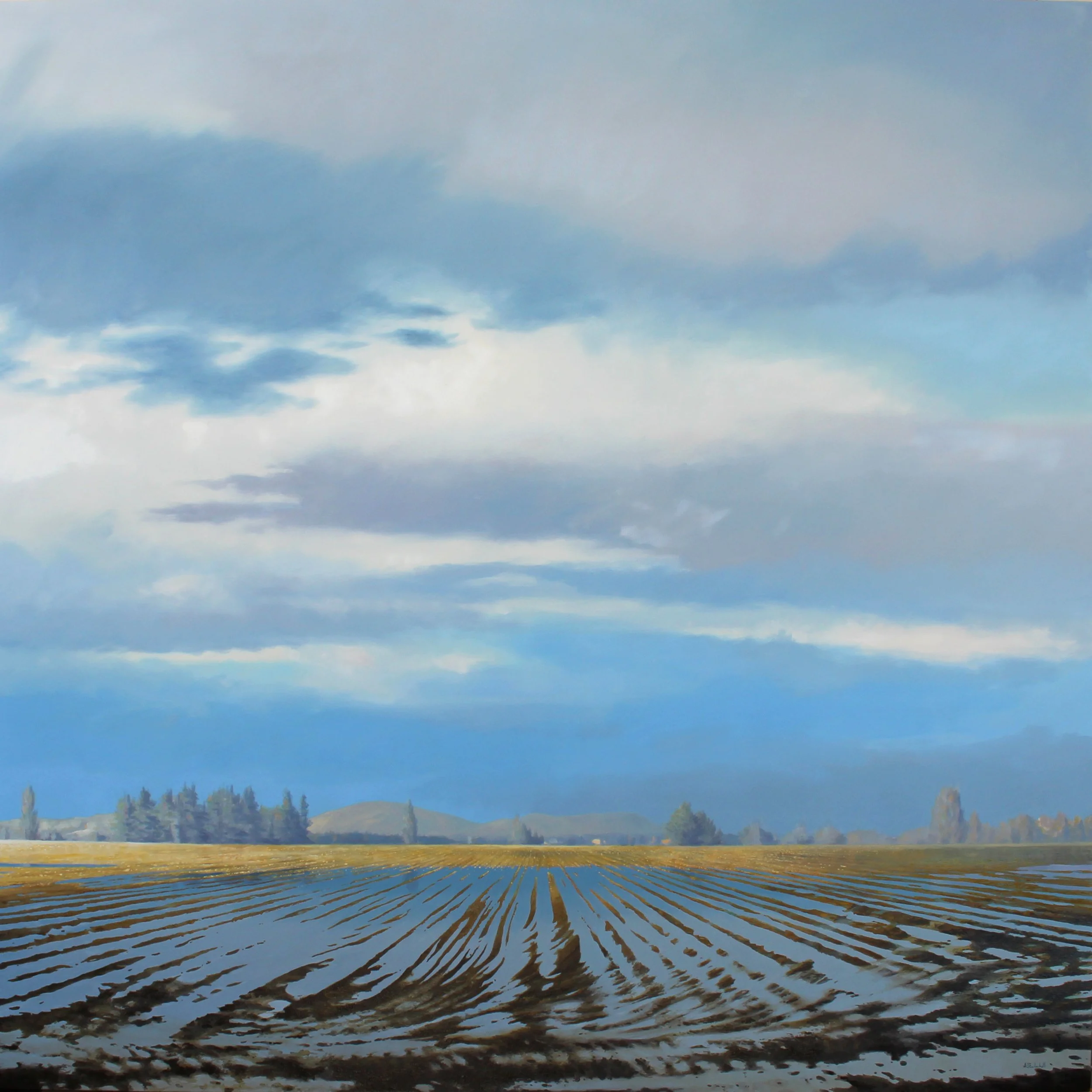 2026 January Light (Bow) 48 x 48 oil on canvas $8,900.jpg