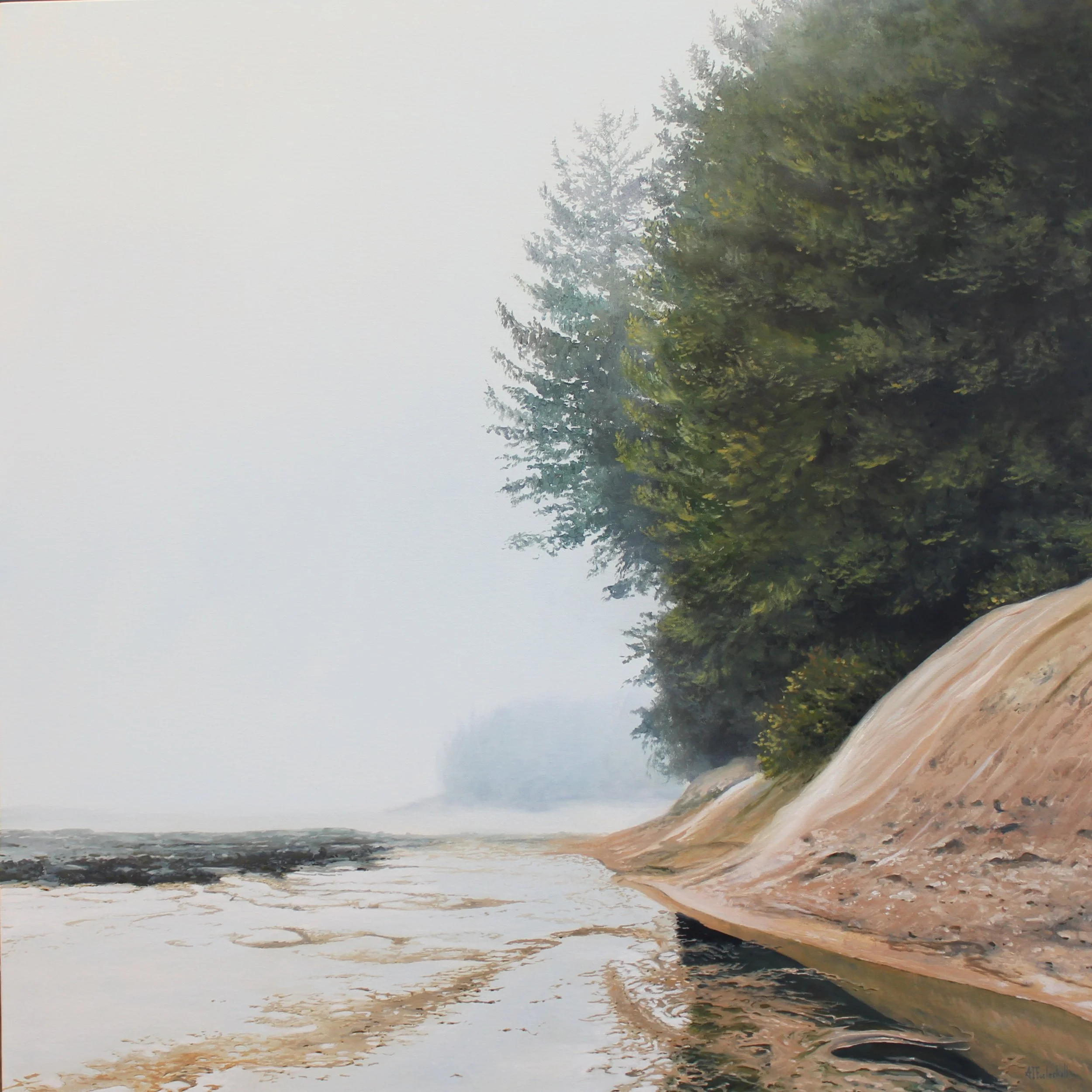 AVAILABLE THROUGH COLE GALLERY "Sombrio Magic" 30 x 30 oil on canvas