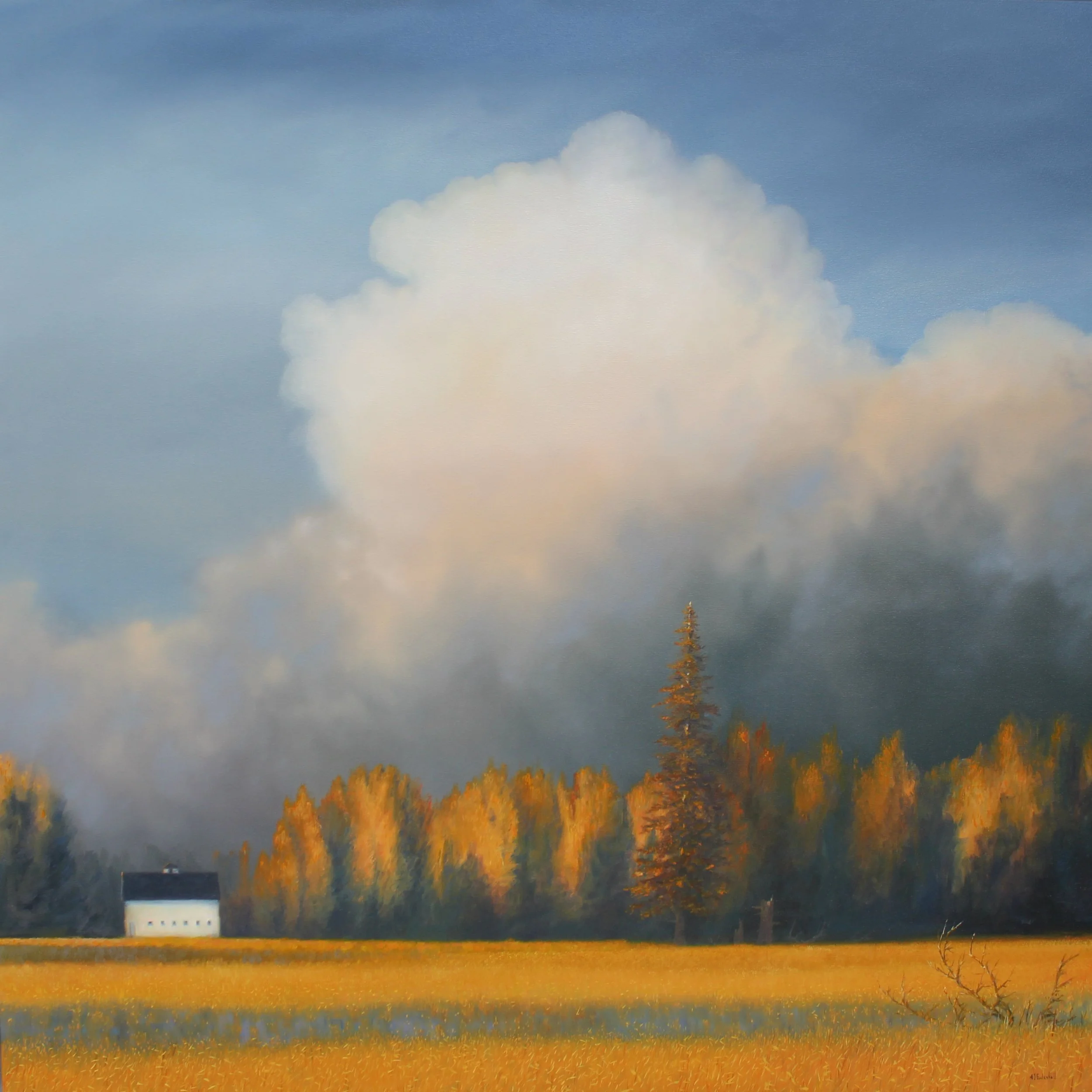 2026 Glow 40 x 40 oil on canvas $7,300.JPG