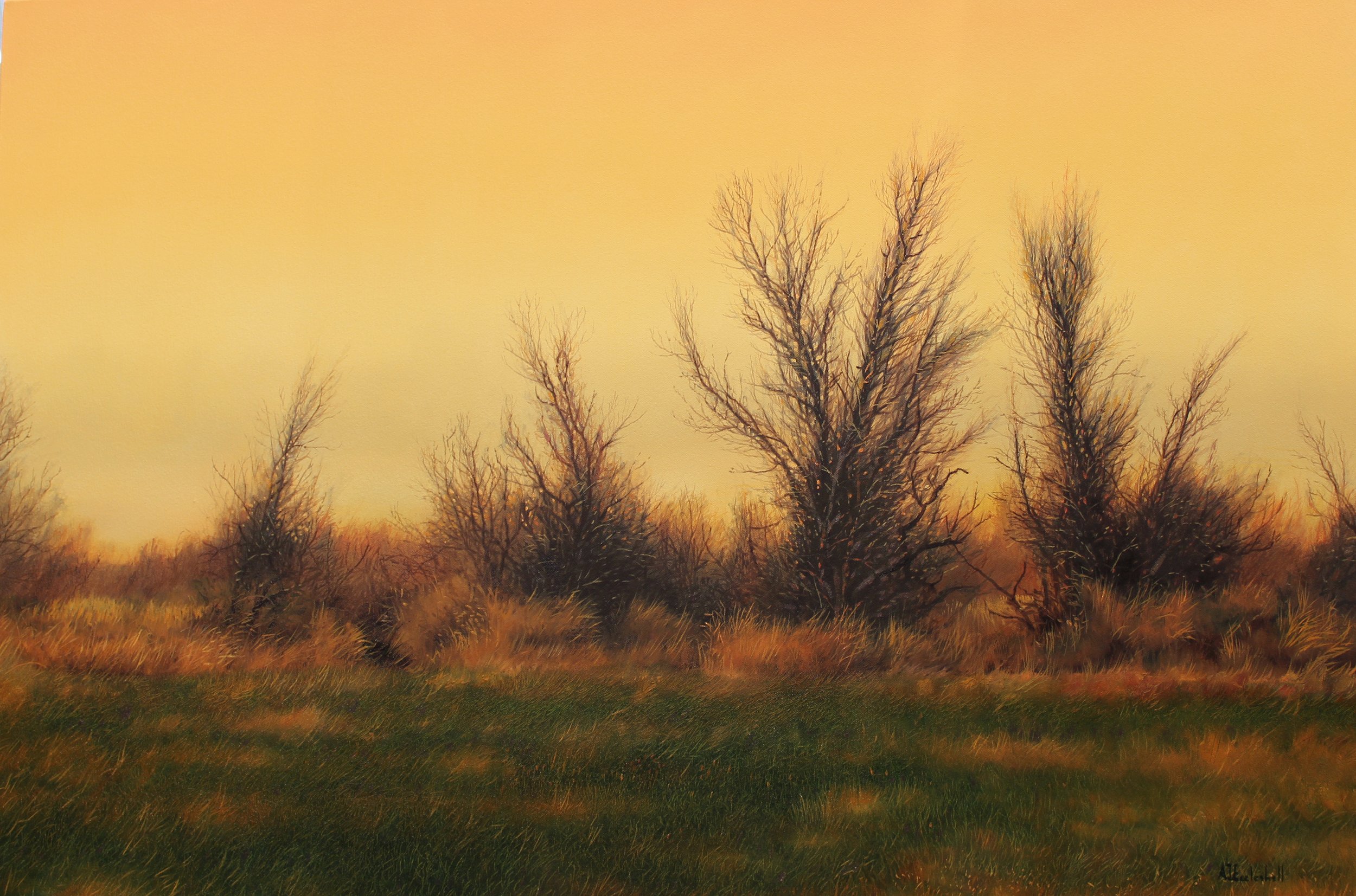 2026 Slumber 24 x 30 oil on canvas $3,550.jpg