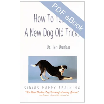 How To eBook.jpg