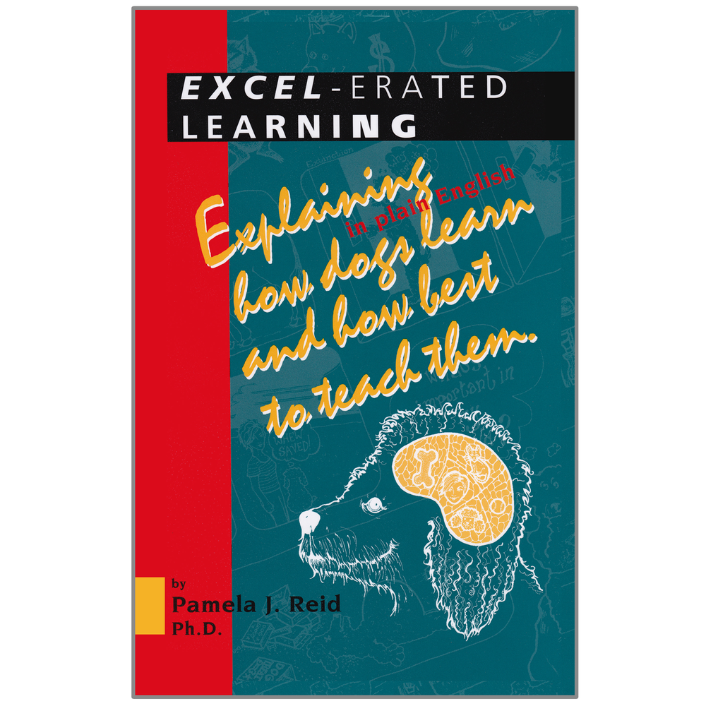 Excel-erated Learning — James & Kenneth Publishers