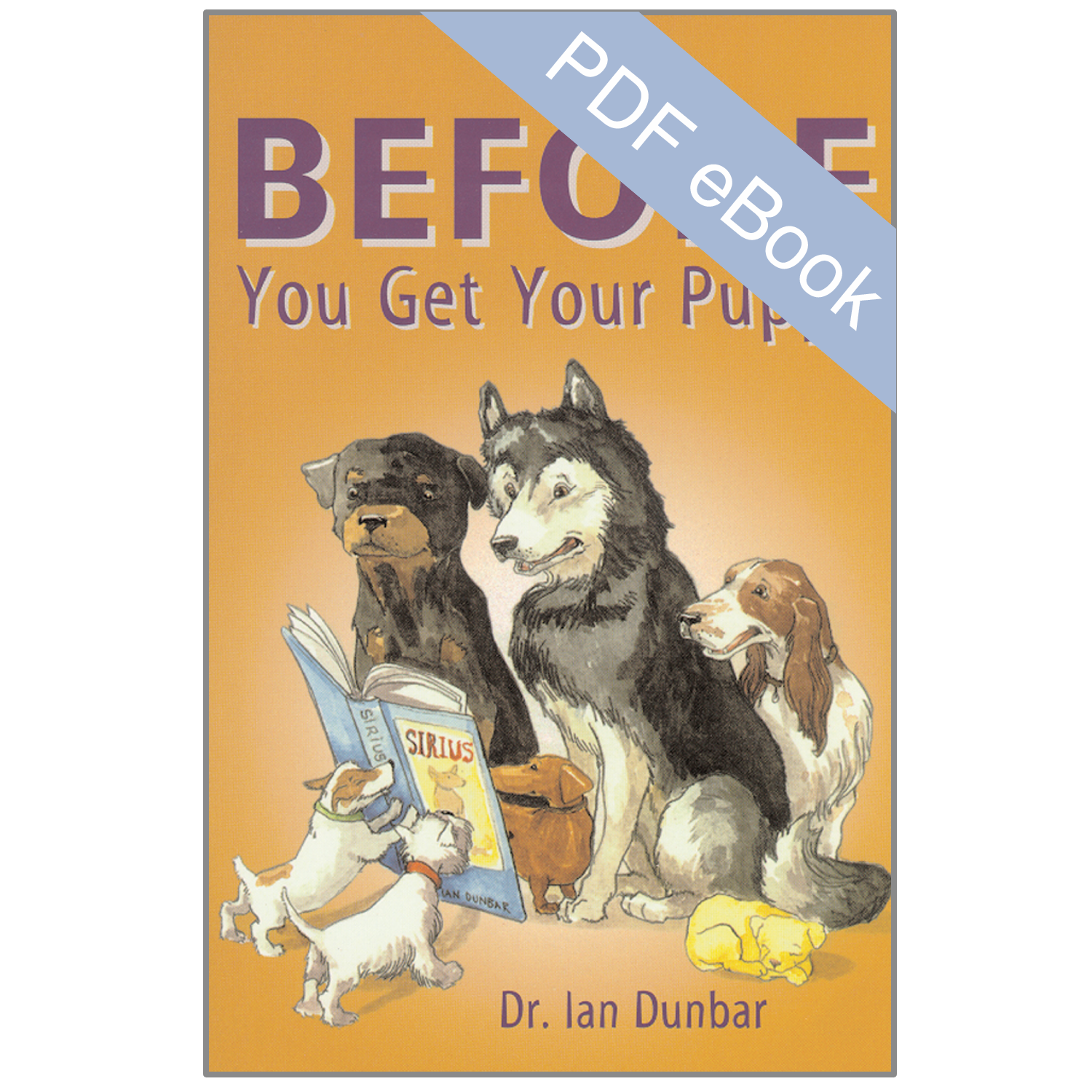 BEFORE_PDF.png