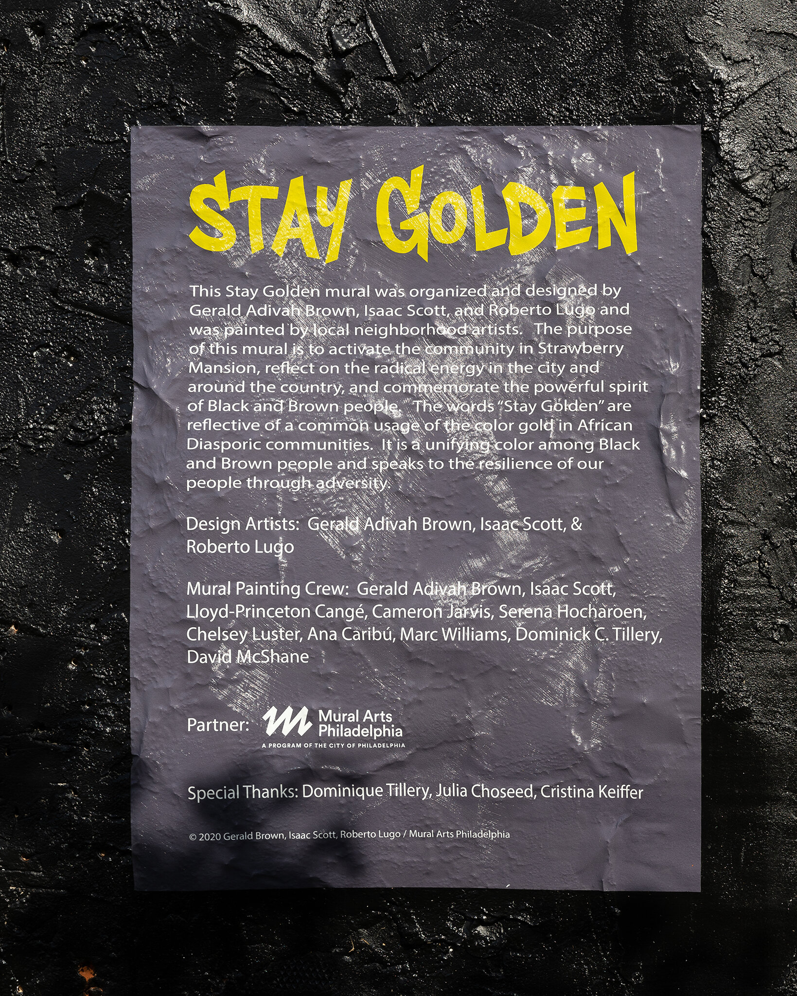 2021-016 Stay Golden-4.jpg