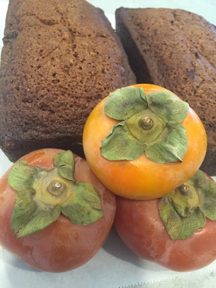 Persimmons