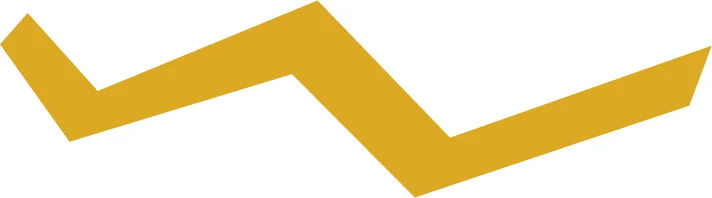 Lucy's-logomark-mustard.jpg