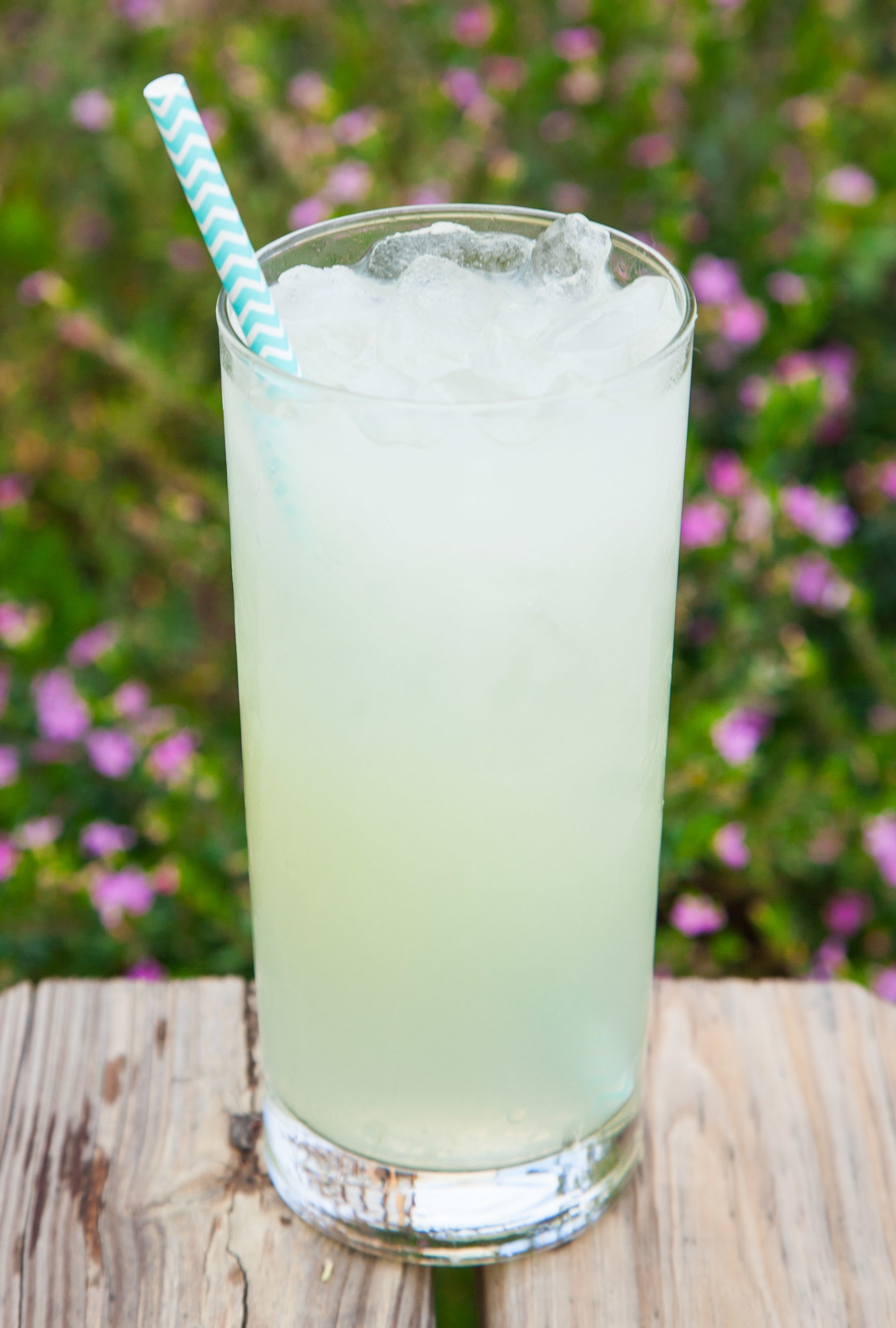 Main+Squeeze+Lemonade-135.jpg