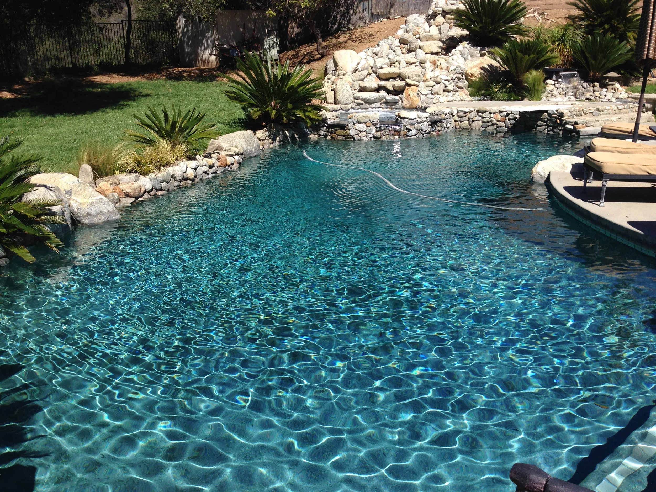 IMG_0979.JPG