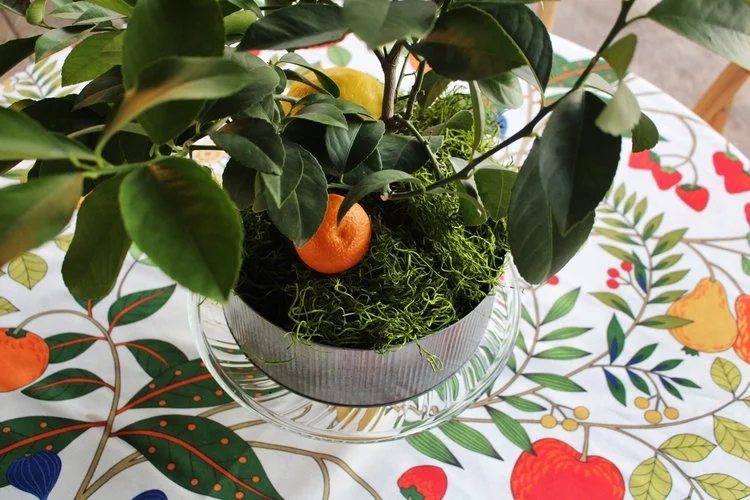 hereitallcomes copy.jpeg