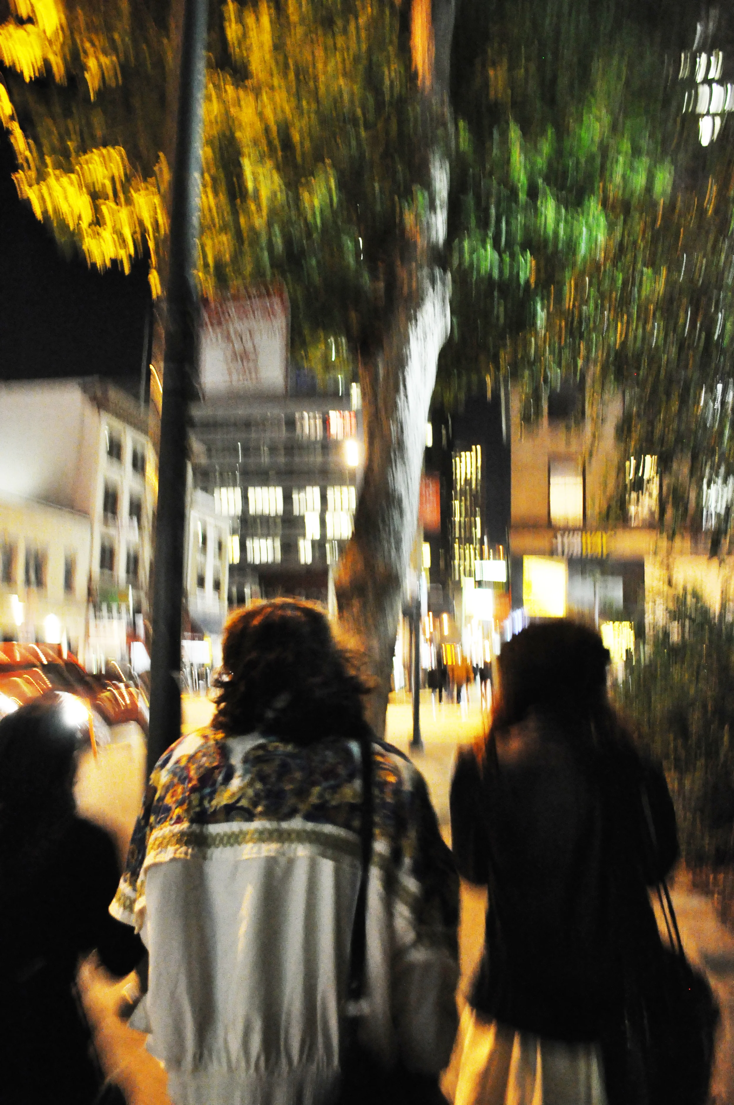 DSC_0854b.jpg