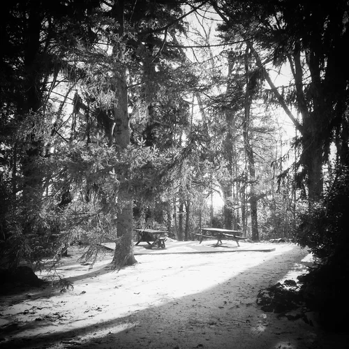 2015: Audentes Fortuna Iuvat