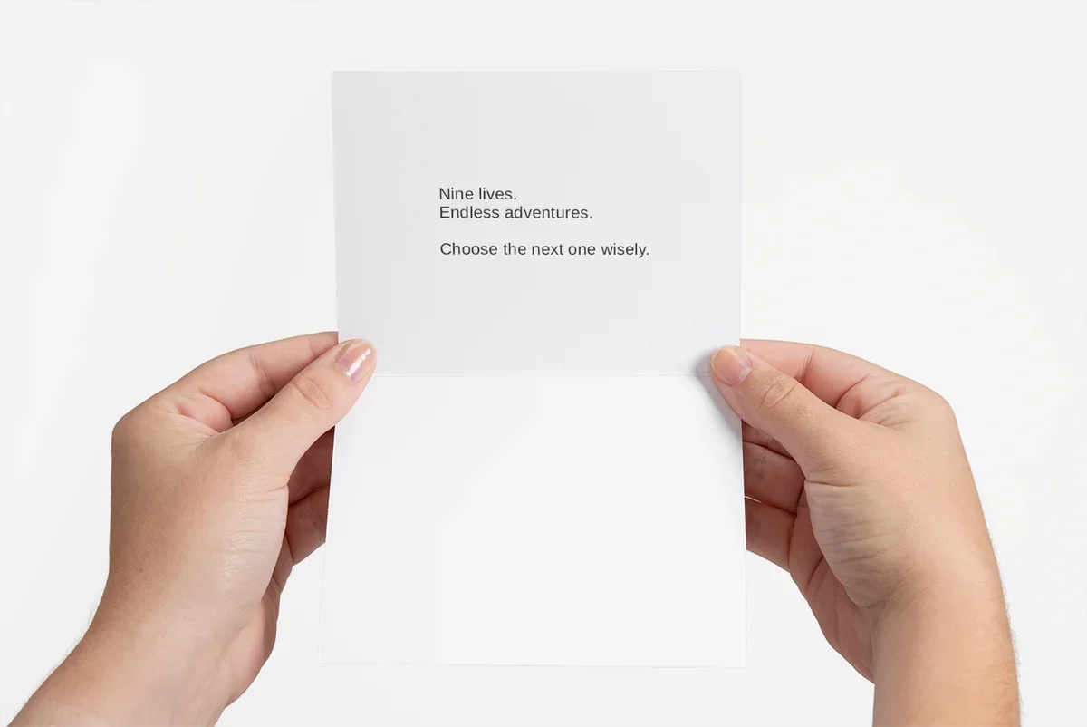 king A card inside.webp