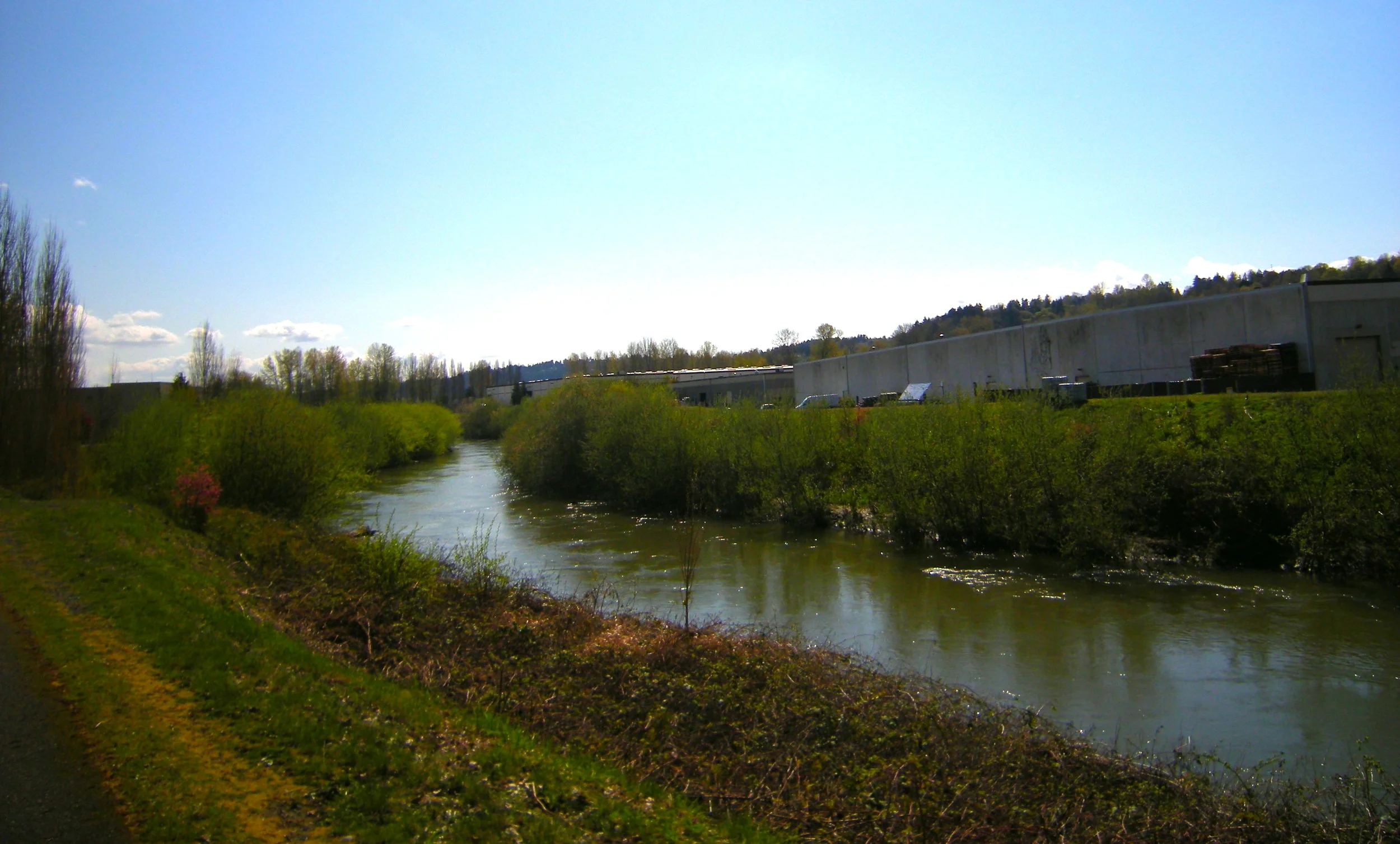 Sen. Fain helps secure funding for levees along the Green River in Kent
