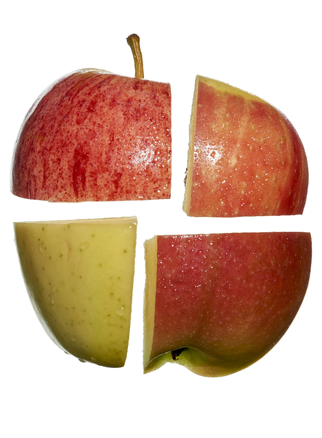 Apple_Opener_024h.jpg